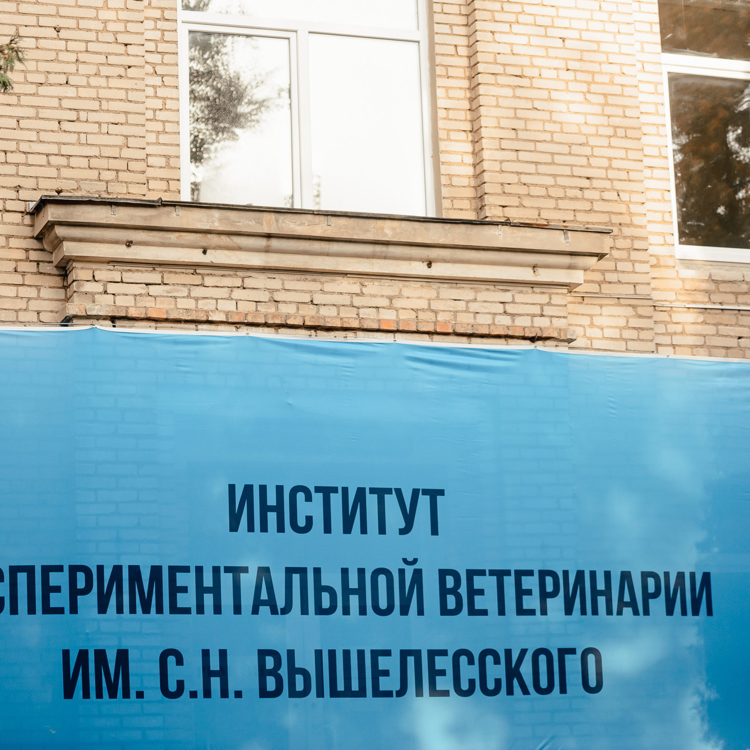 Отзывы. Фотограф Микита Ласица