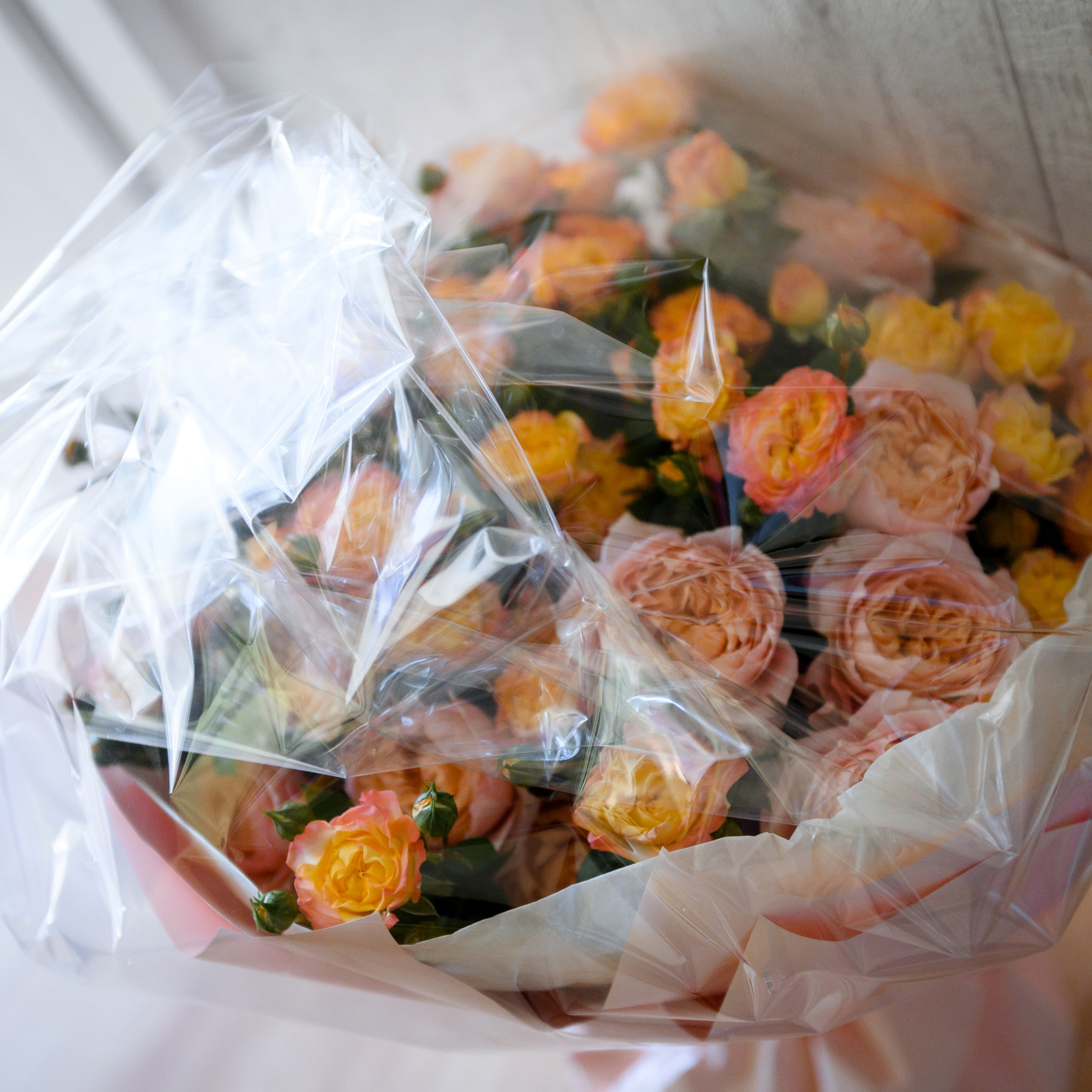 Отзывы. Фотограф Микита Ласица