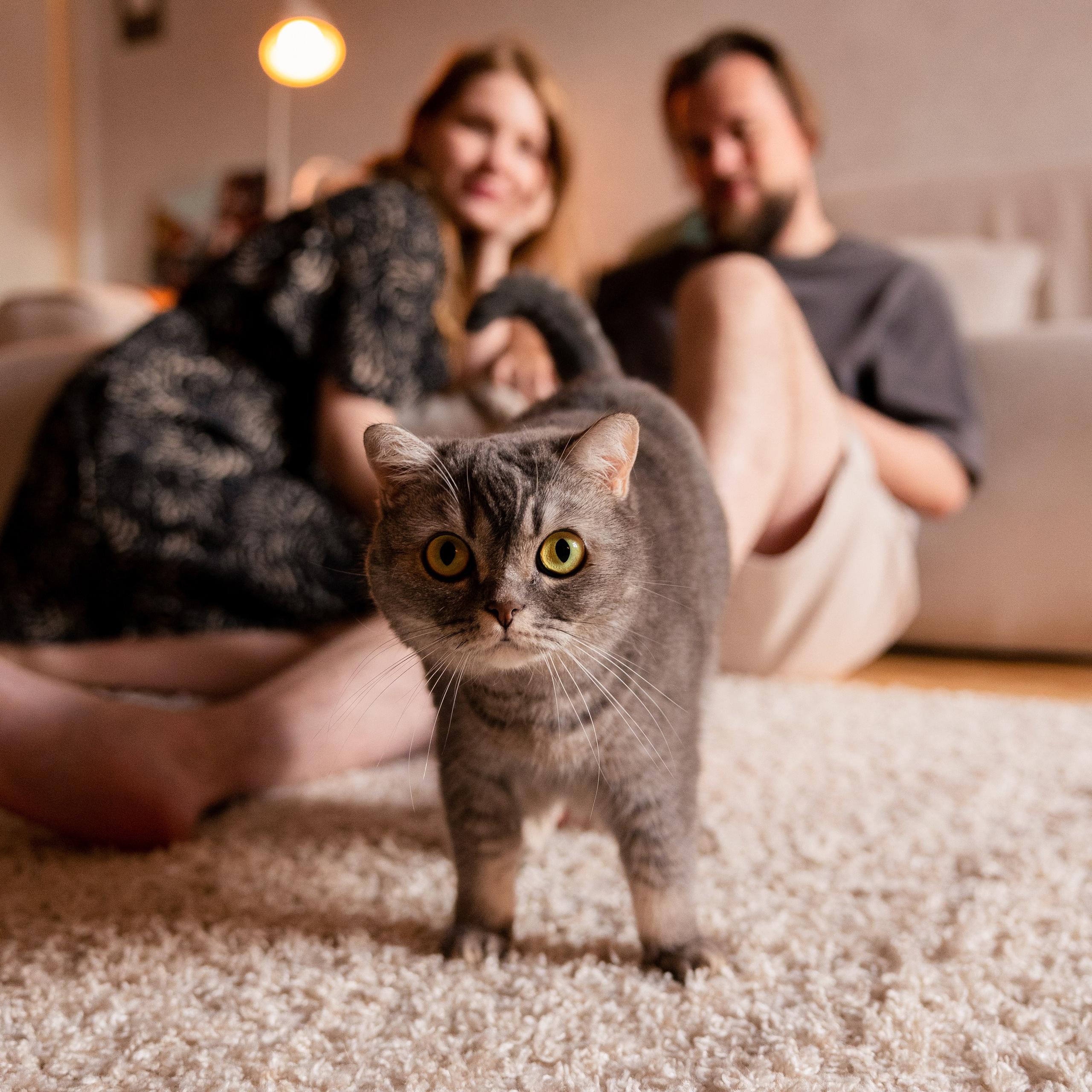 Домашние посиделки