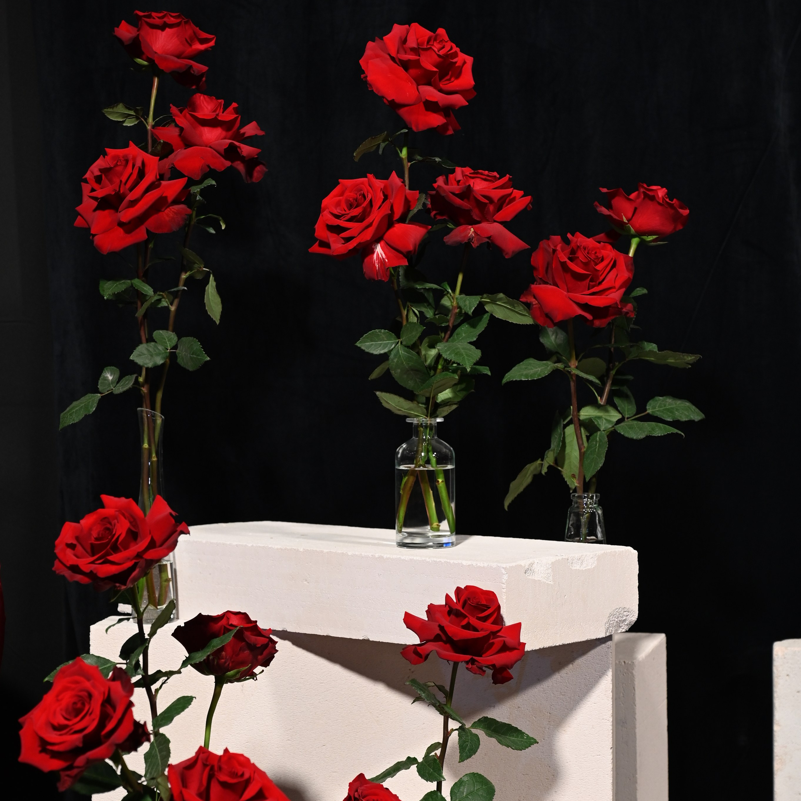 Свадебный и портретный фотограф в Москве Александр Муравьев