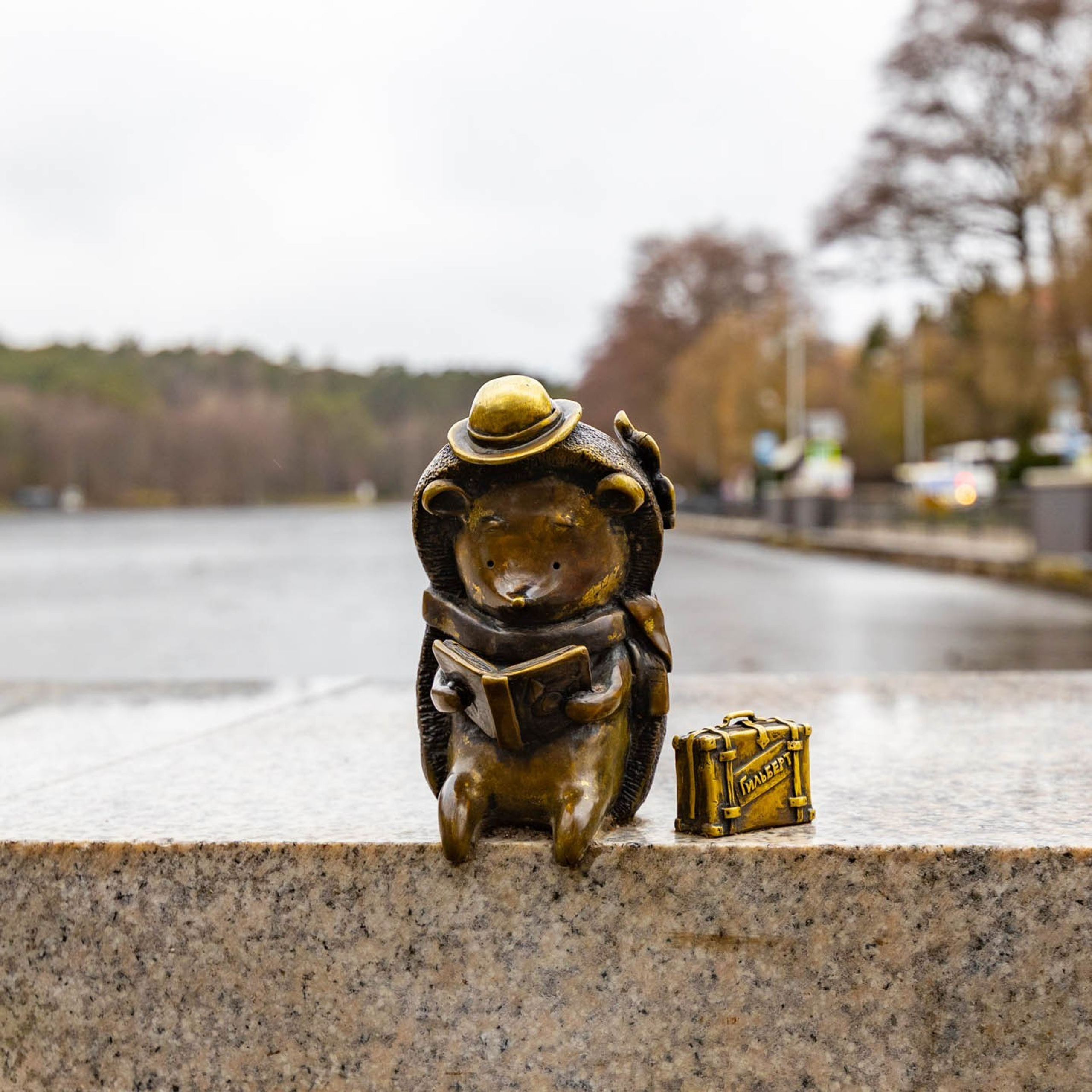 2024 01 Калининград (Светлогорск, Зеленоградск)