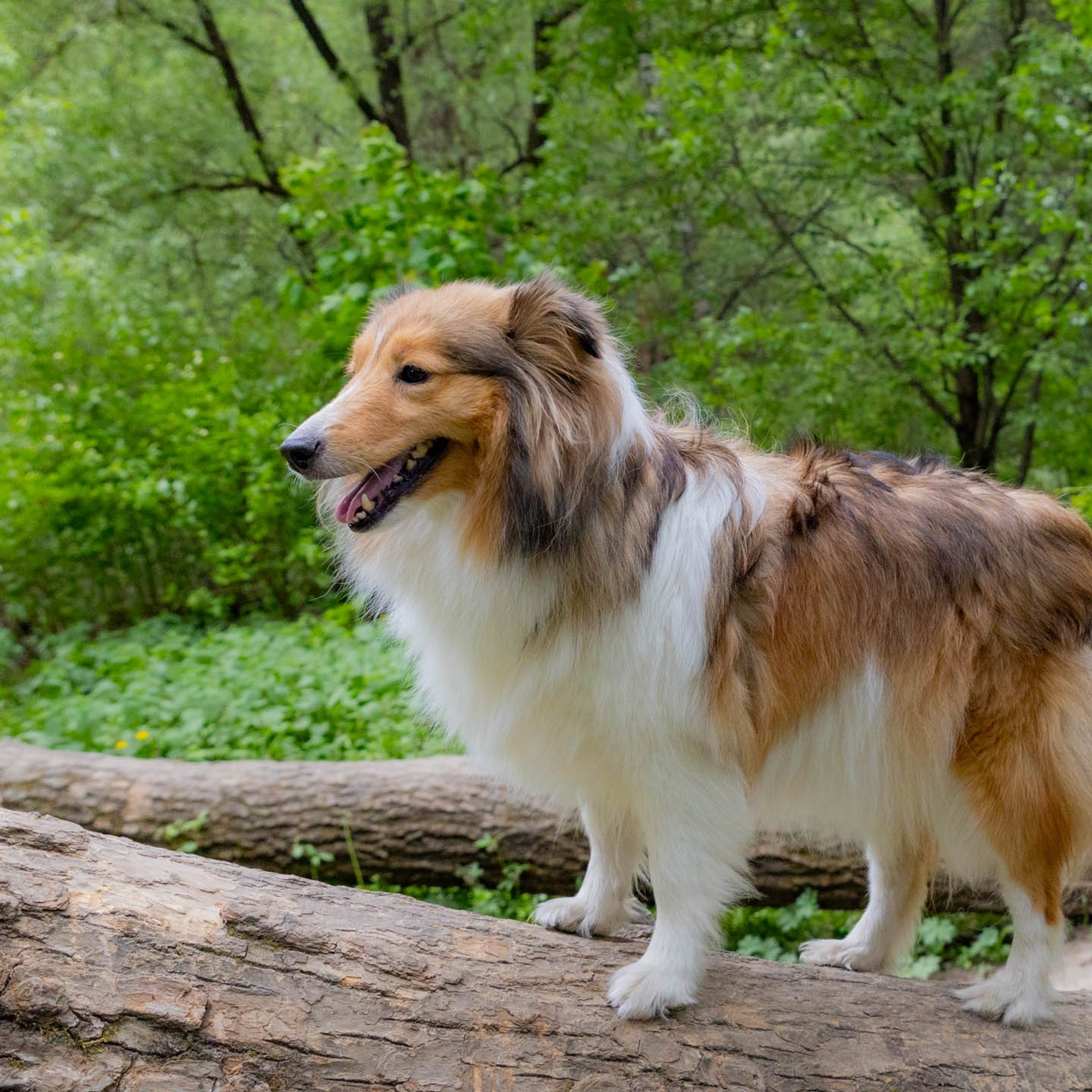 202405 Элис и Лора