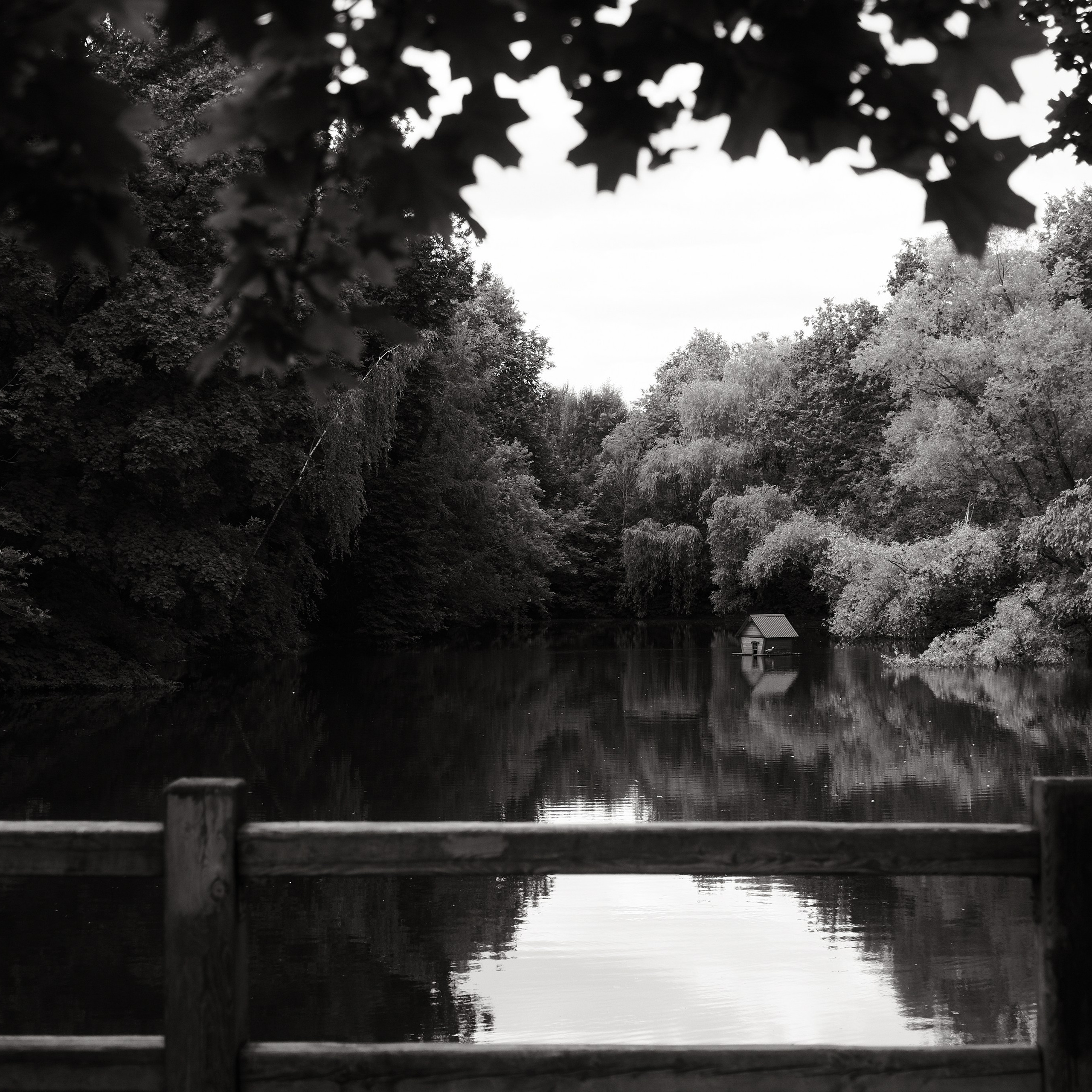 Личные истории. Фотограф Михаил Ерохин | Москва