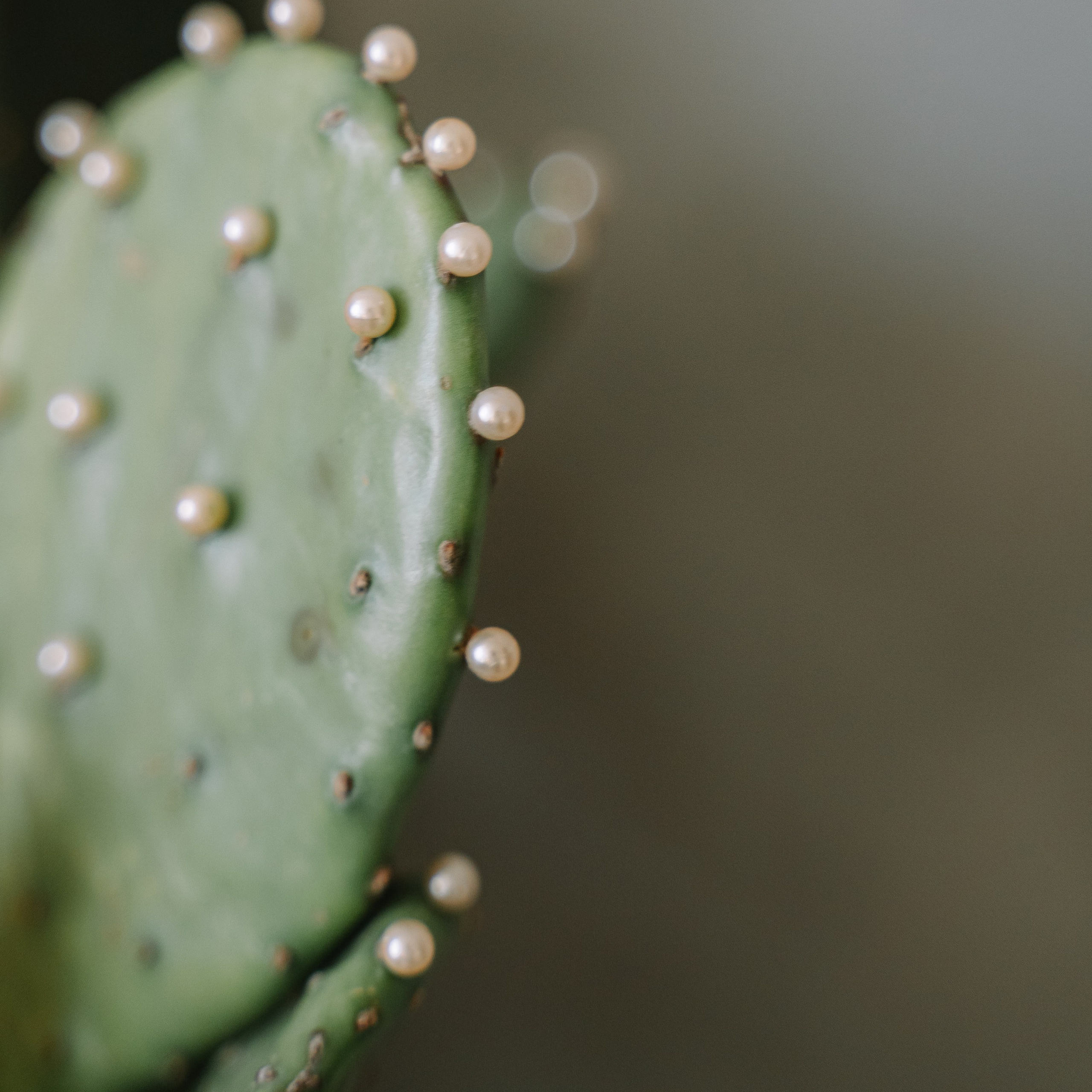 Юля (Съемка в Студии)