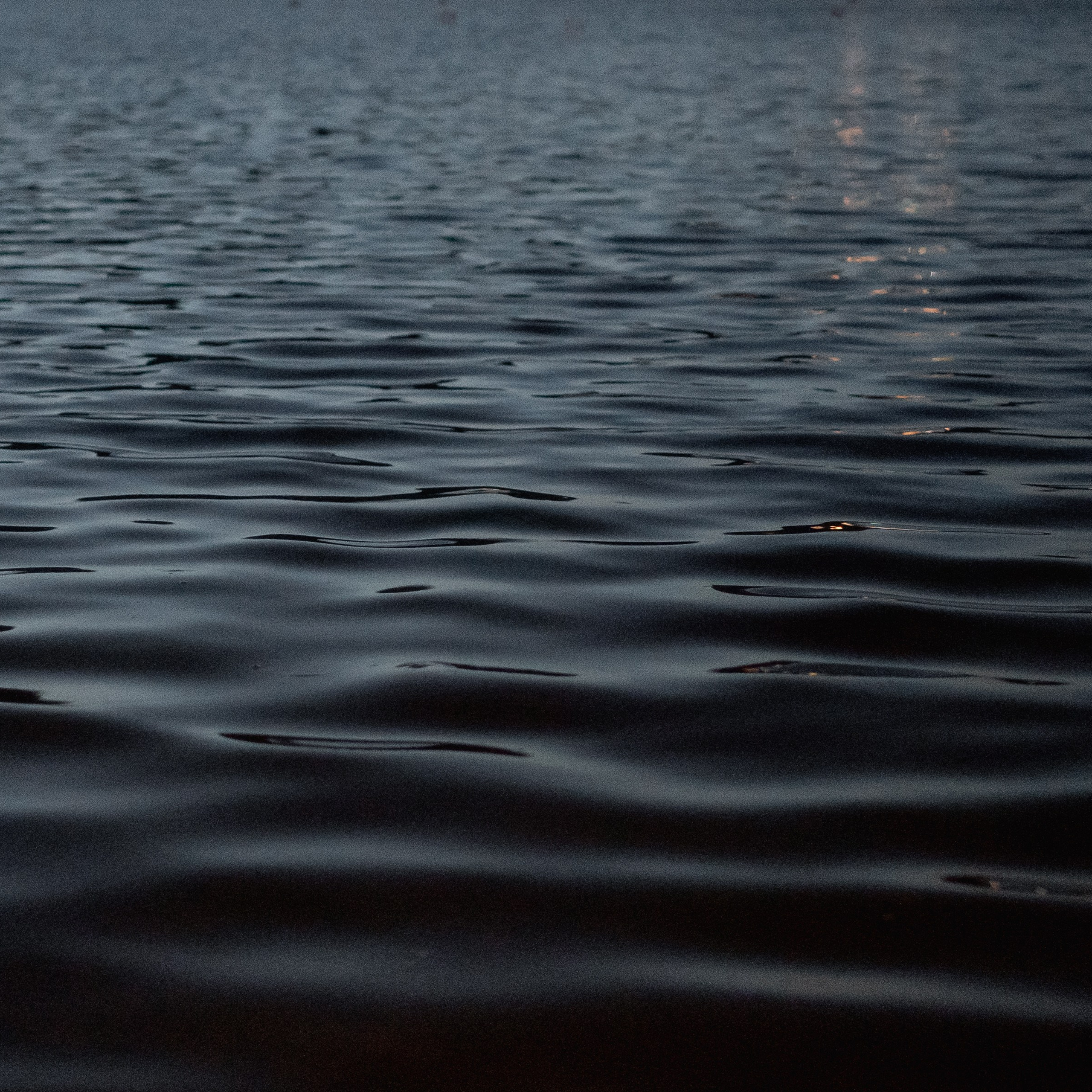 Отзывы. Свадебный и семейный фотограф в Анапе Елена Полетаева