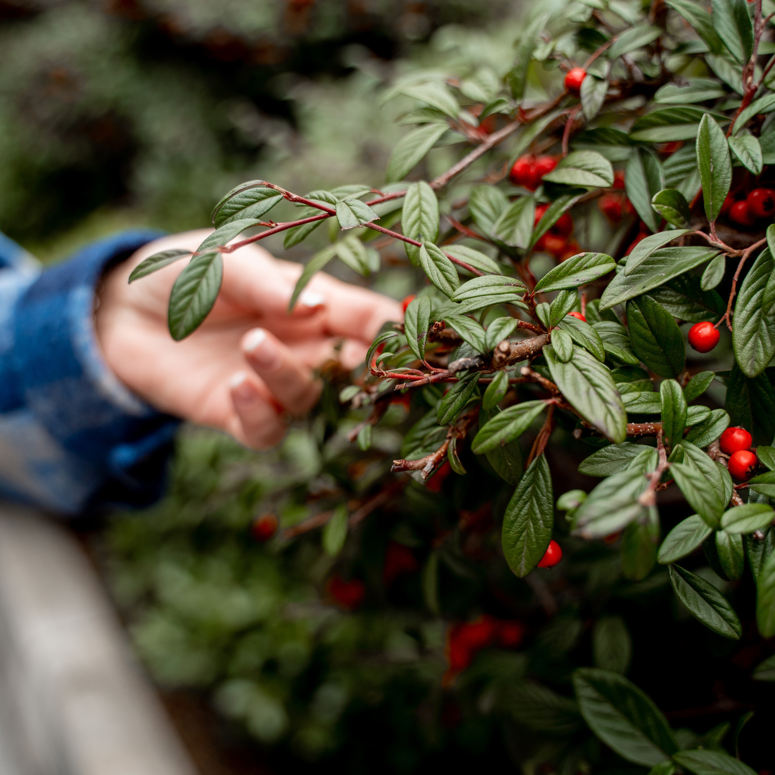 Отзывы. Свадебный и семейный фотограф в Анапе Елена Полетаева