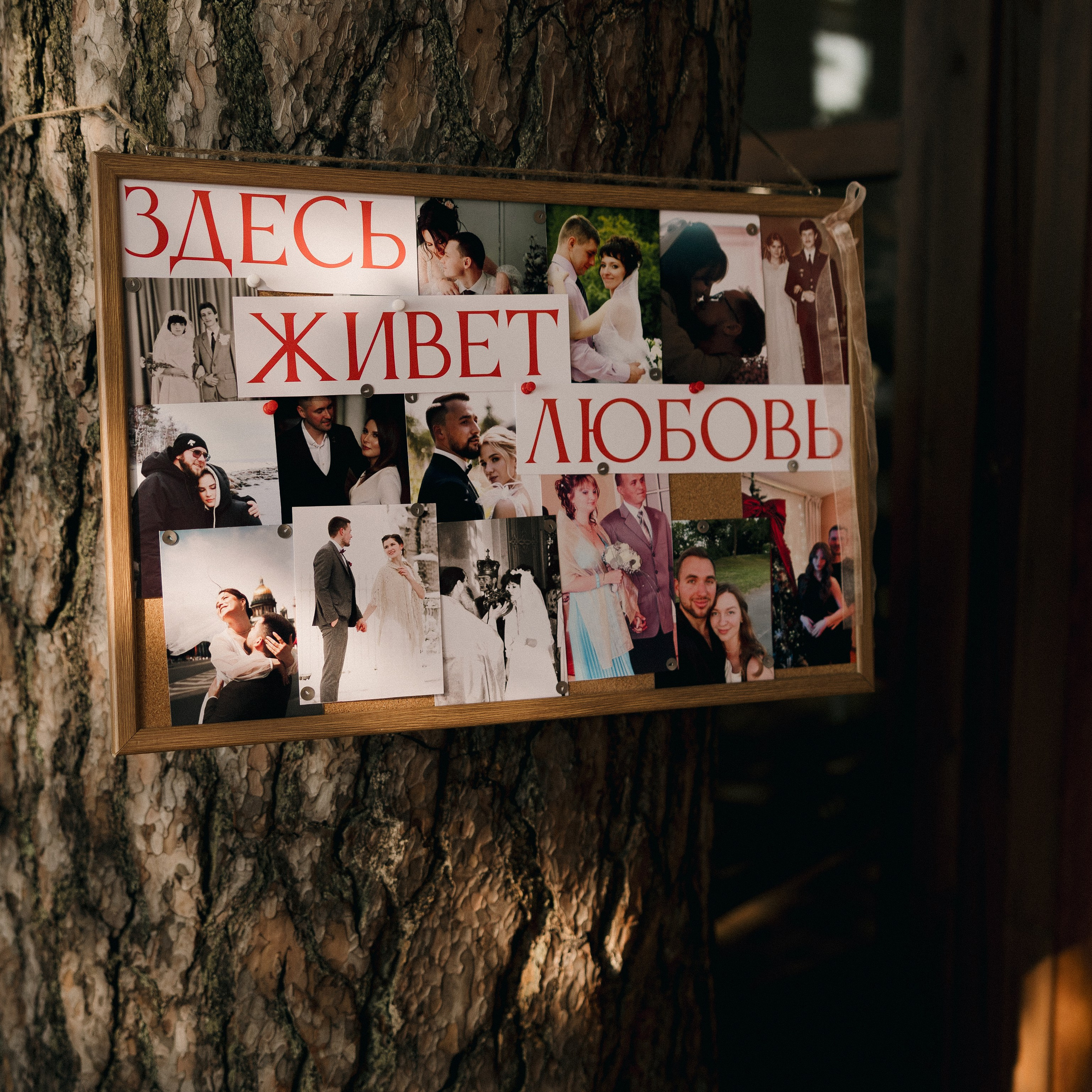 Здесь живет любовь