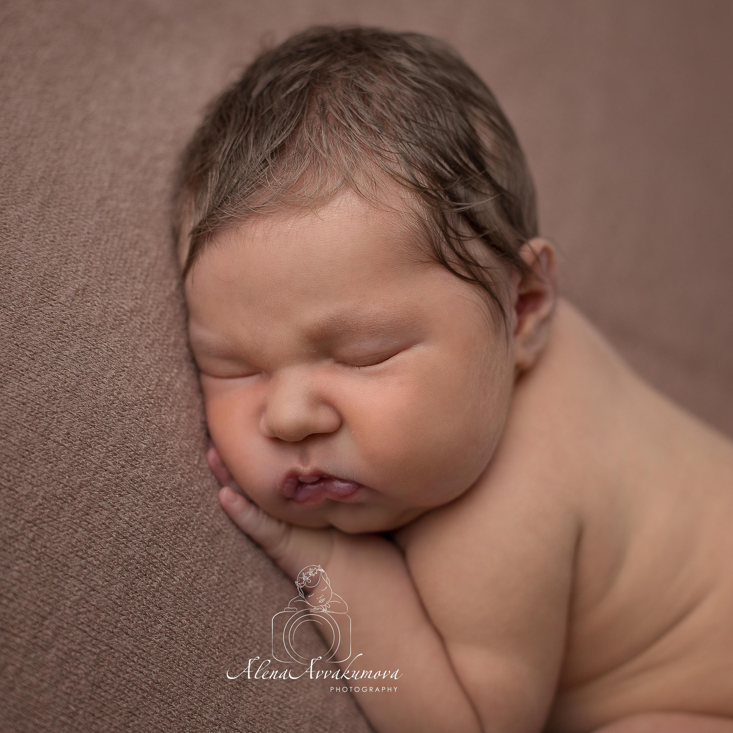 Отзывы. Фотограф новорожденных в Губкинском Алена Аввакумова