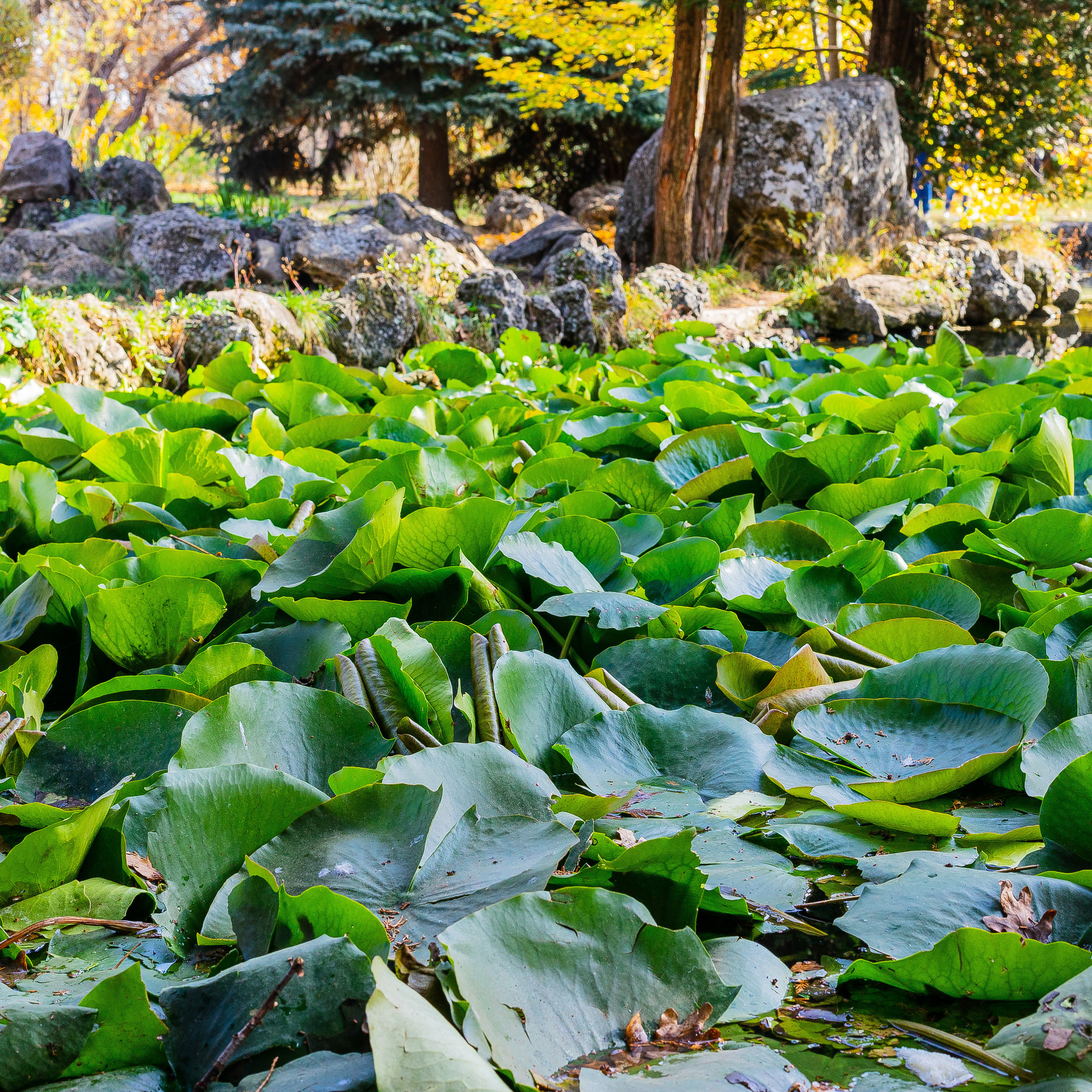 Отзывы. Фотограф Антон Катунин | Симферополь