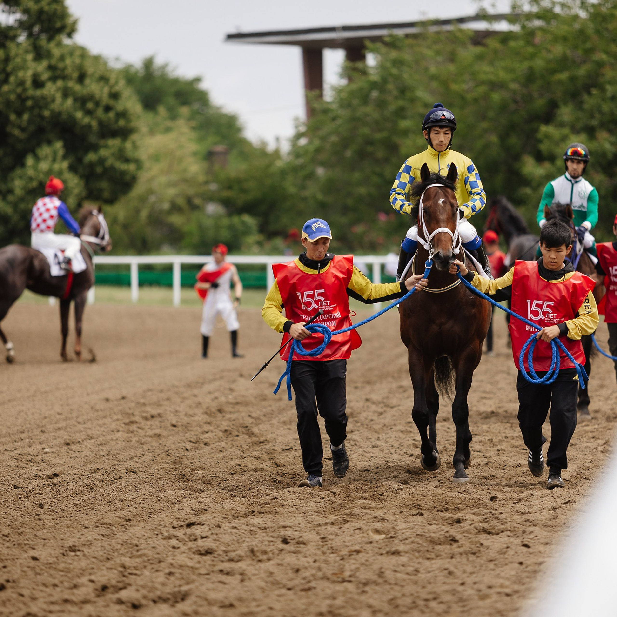 Скачки 17.06.23. Photographer | Anna Christia