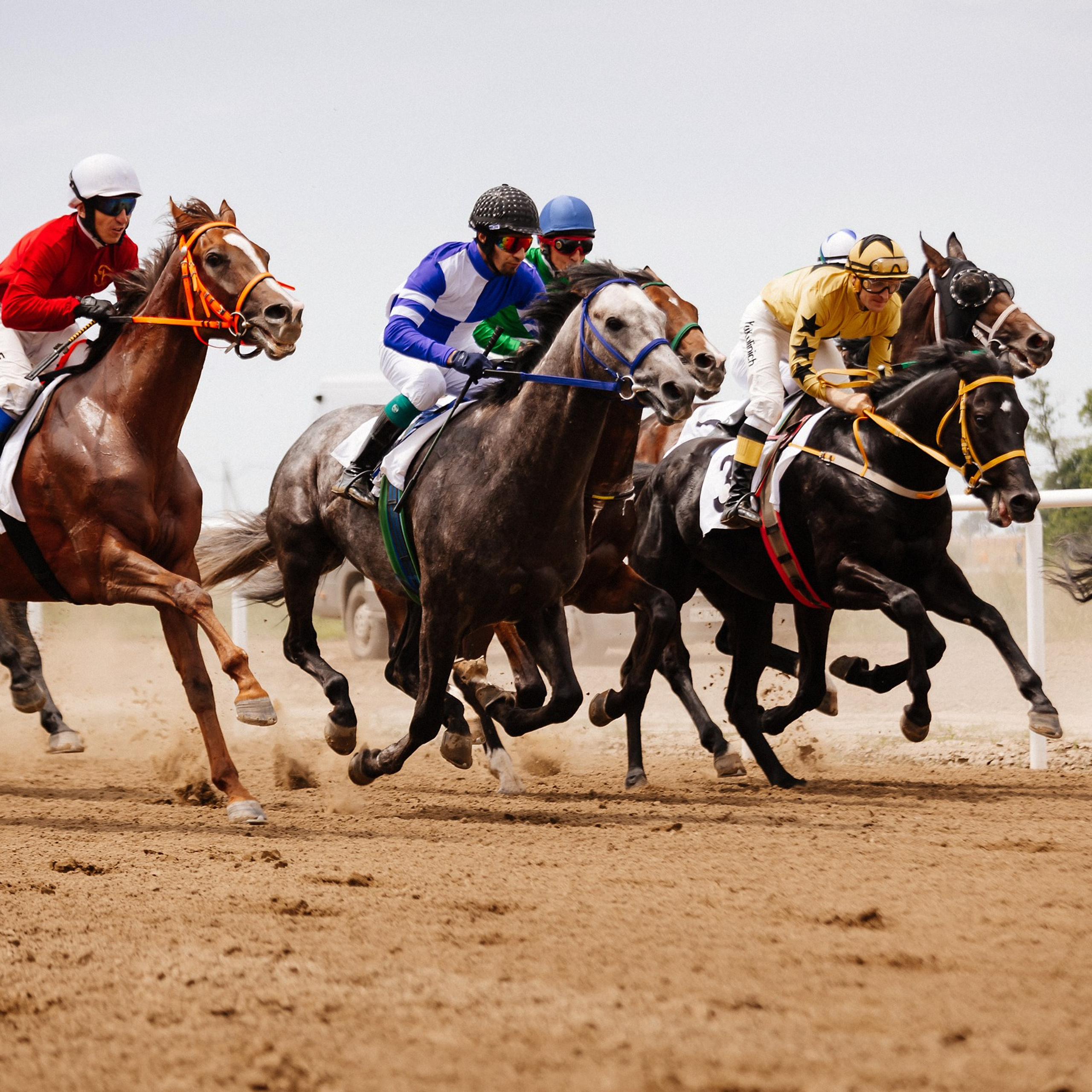 Скачки 10.06.23. Photographer | Anna Christia