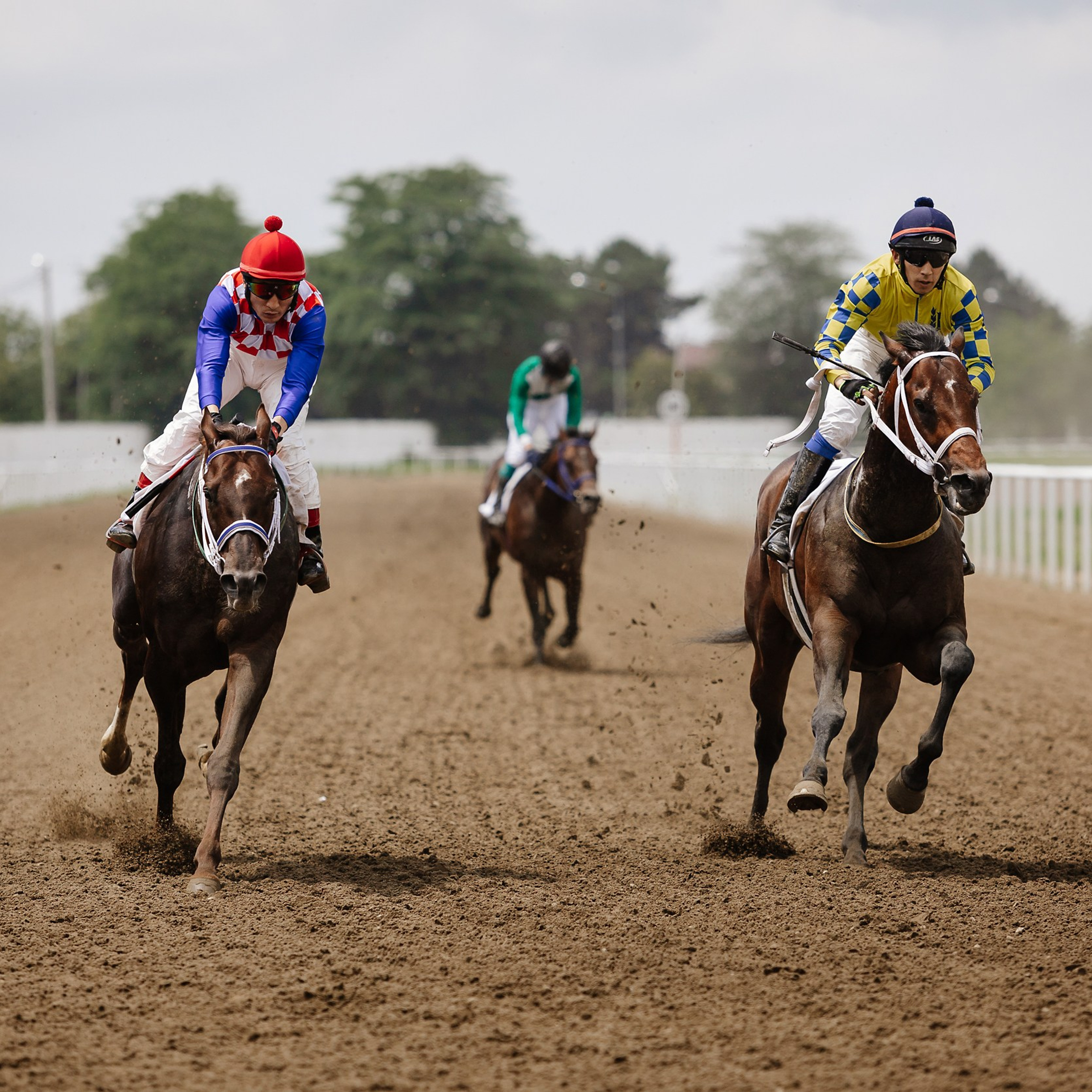 Скачки 17.06.23. Photographer | Anna Christia