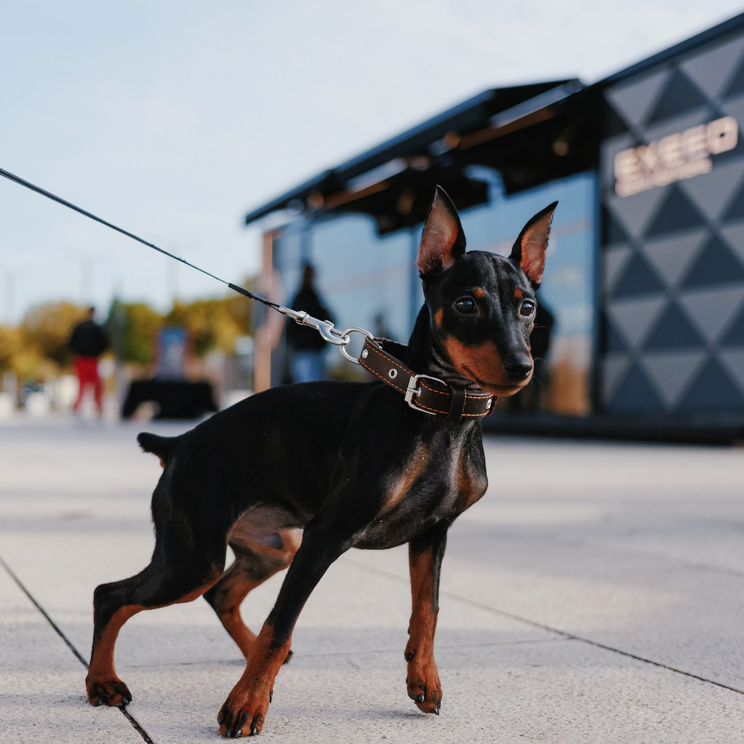 Exeed 23.11.22. Photographer | Anna Christia