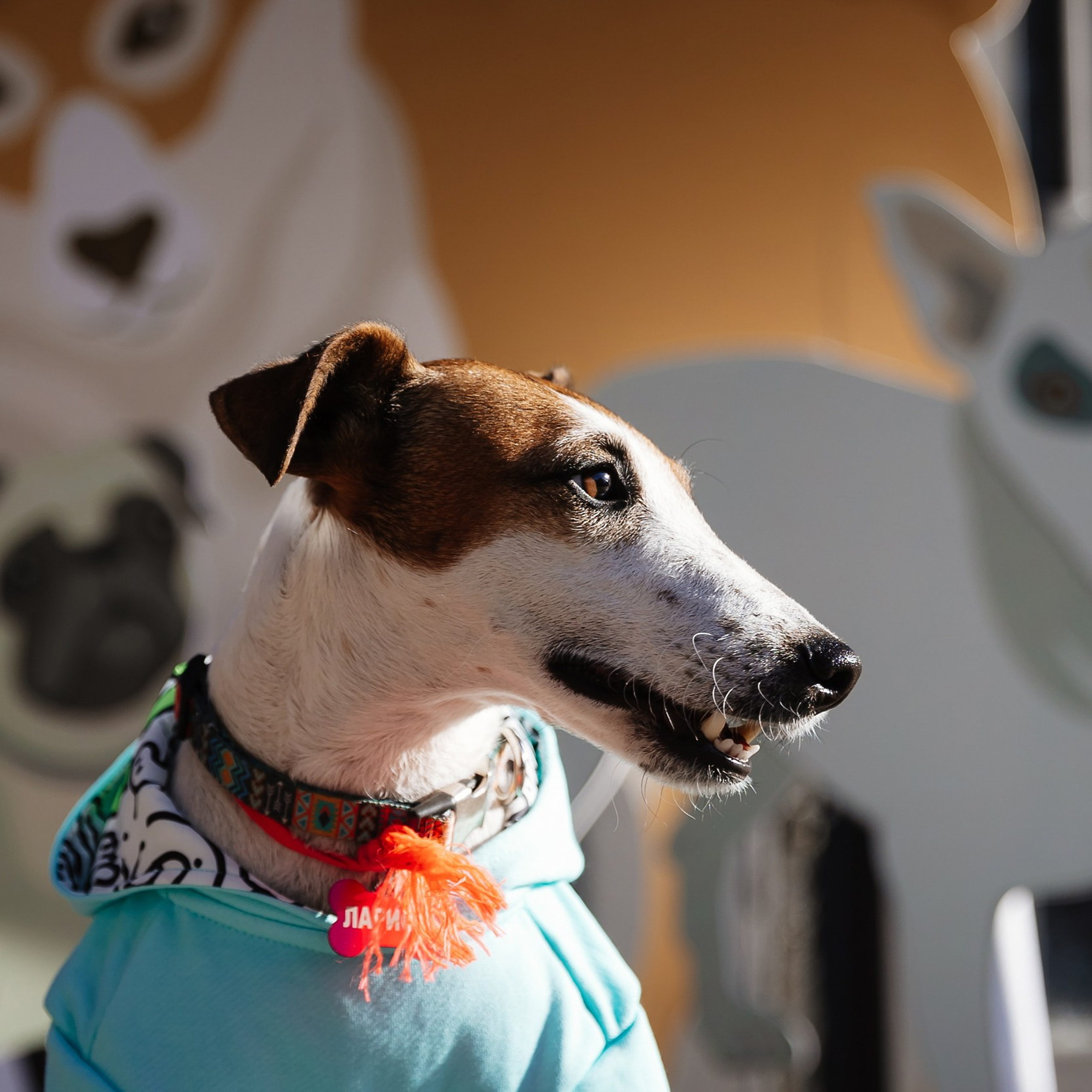 Boxpark 4.11.23. Photographer | Anna Christia