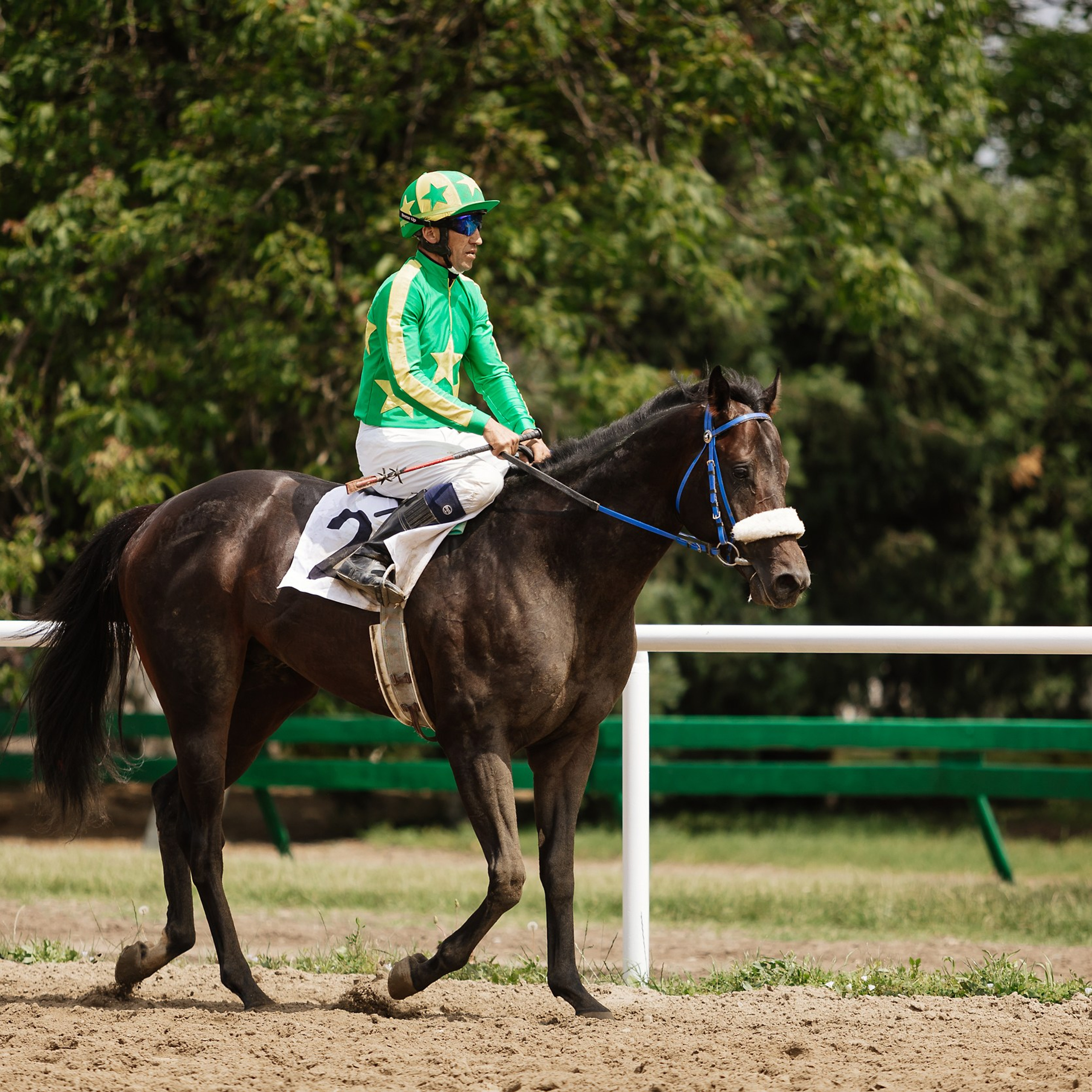 Скачки 17.06.23. Photographer | Anna Christia