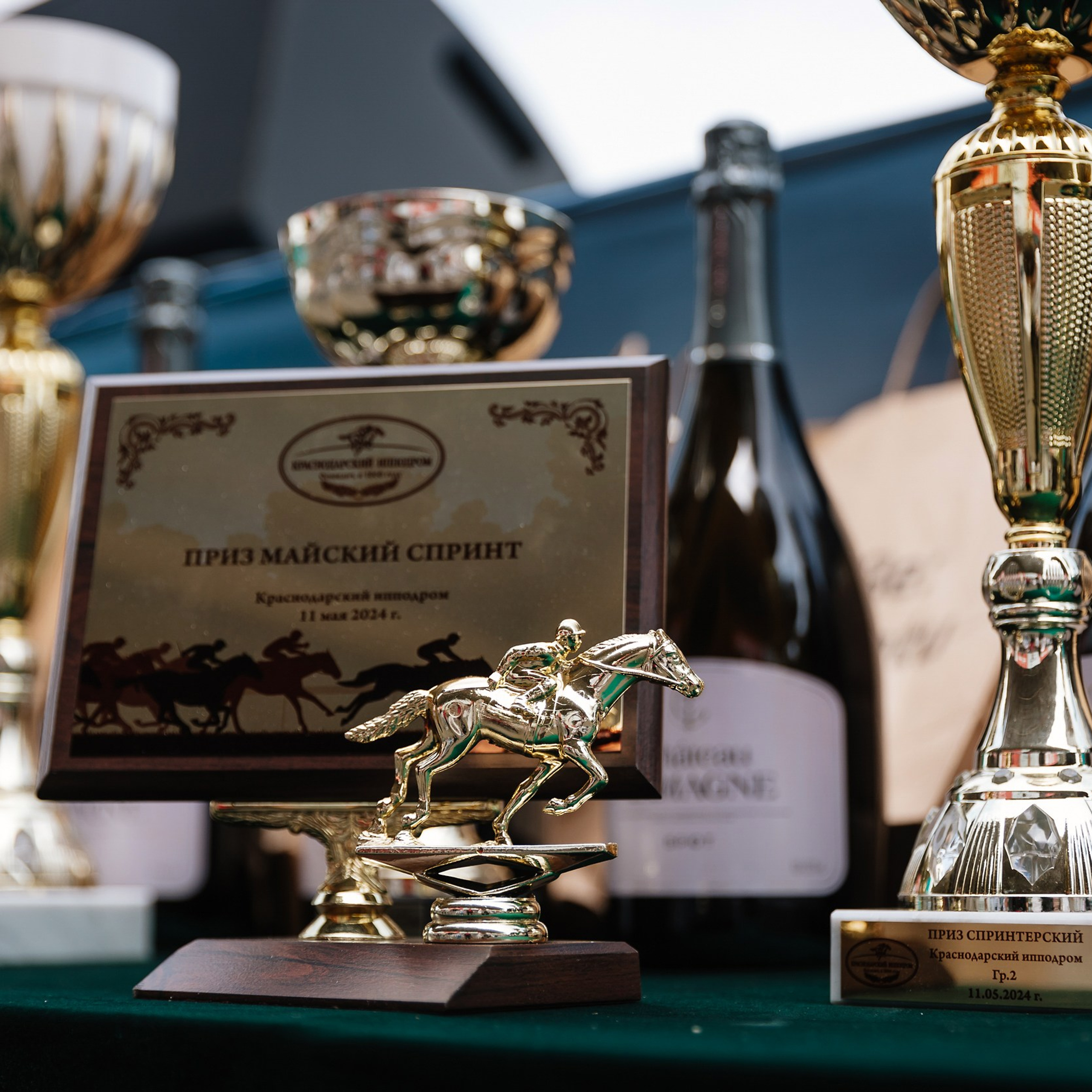 Скачки 11.05.24. Photographer | Anna Christia