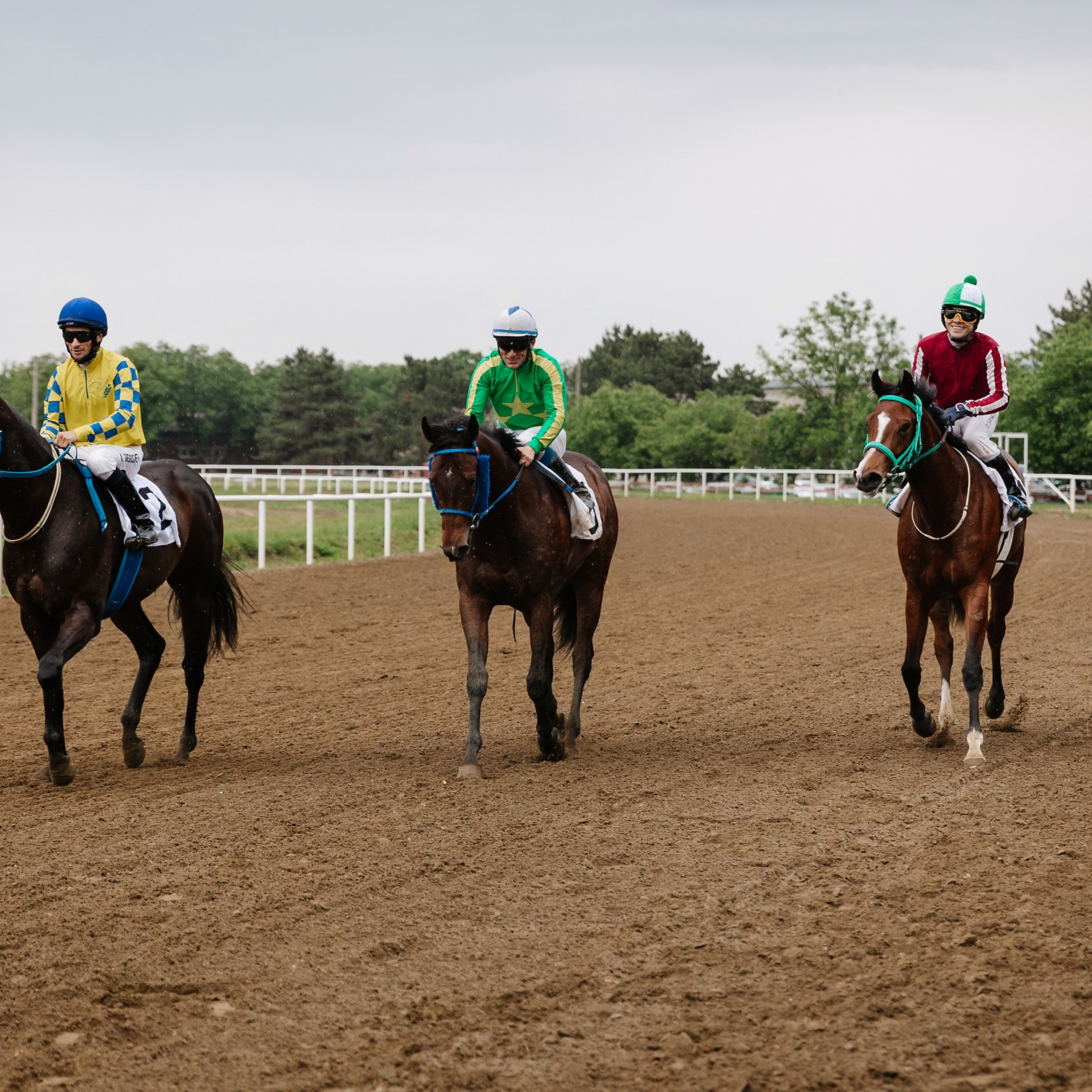 Скачки 11.05.24. Photographer | Anna Christia
