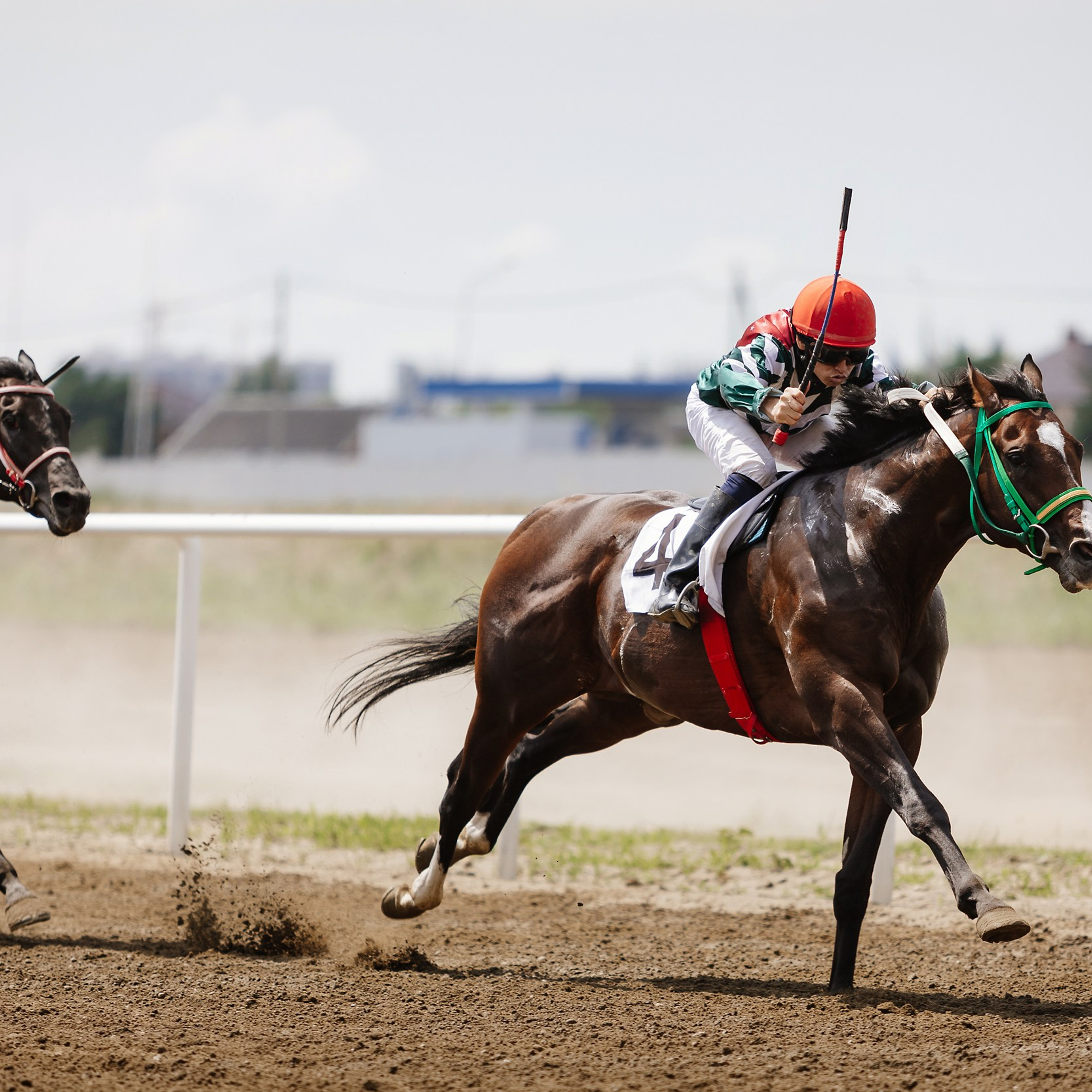 Скачки 17.06.23. Photographer | Anna Christia