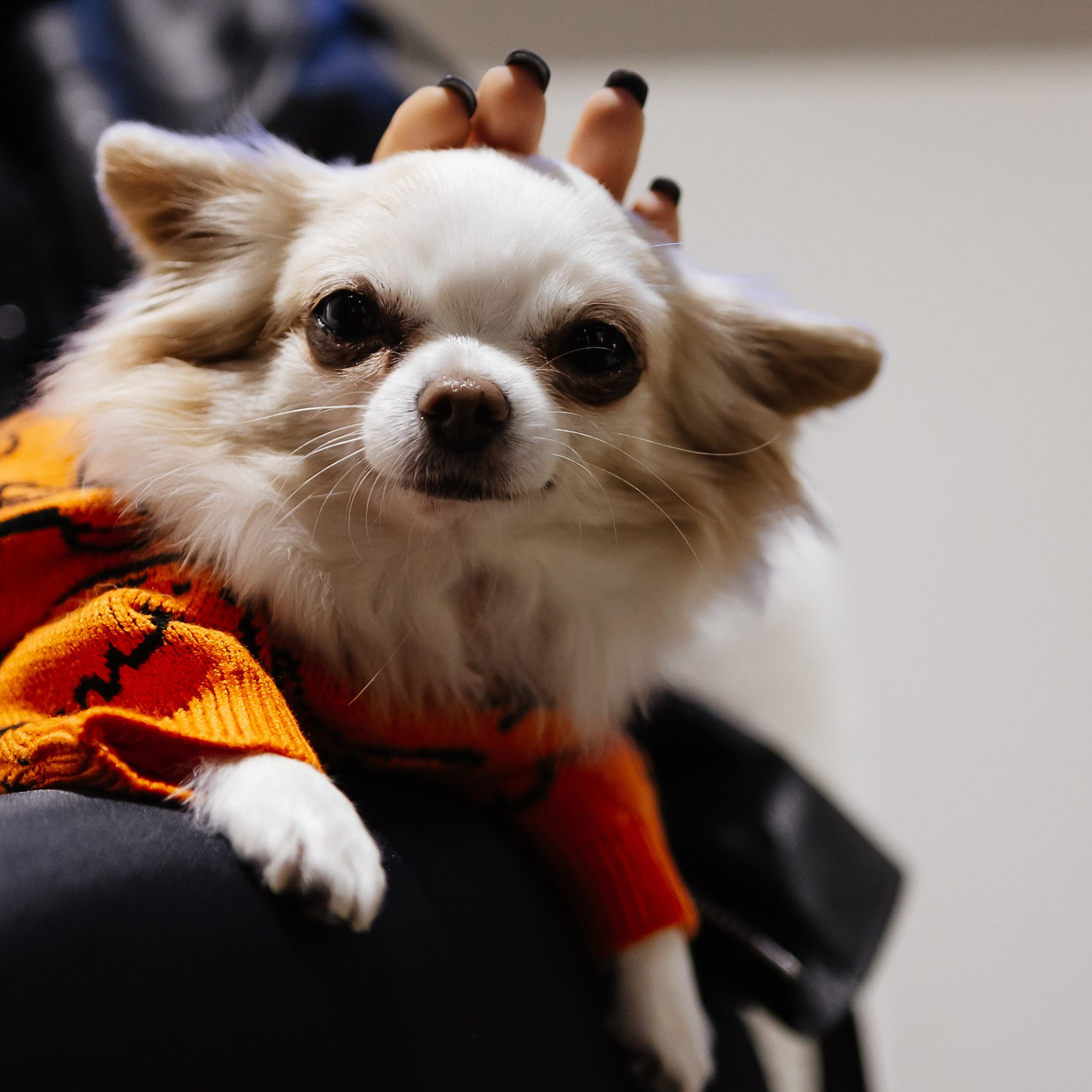 My Modus 3.11.23. Photographer | Anna Christia