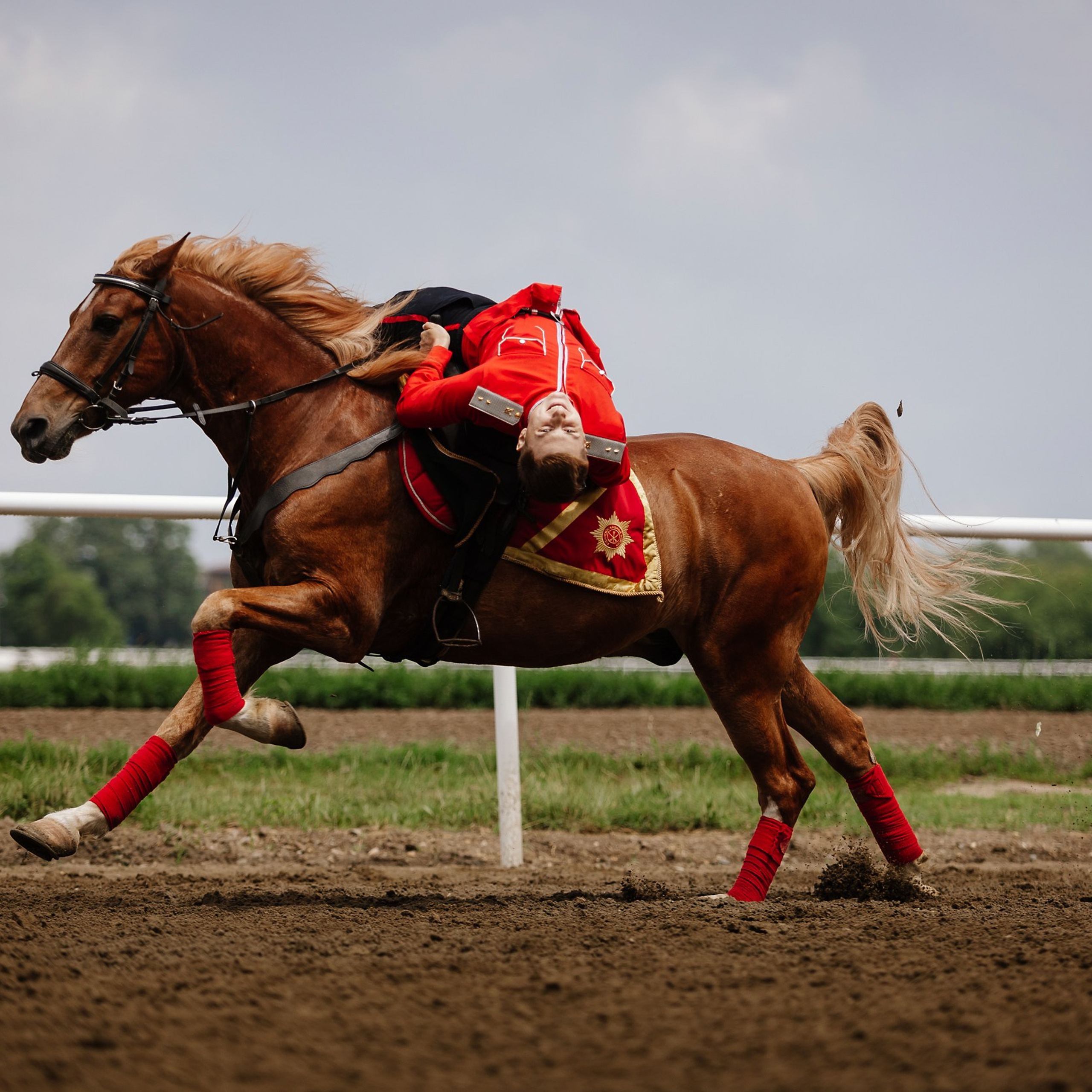 Скачки 17.06.23. Photographer | Anna Christia