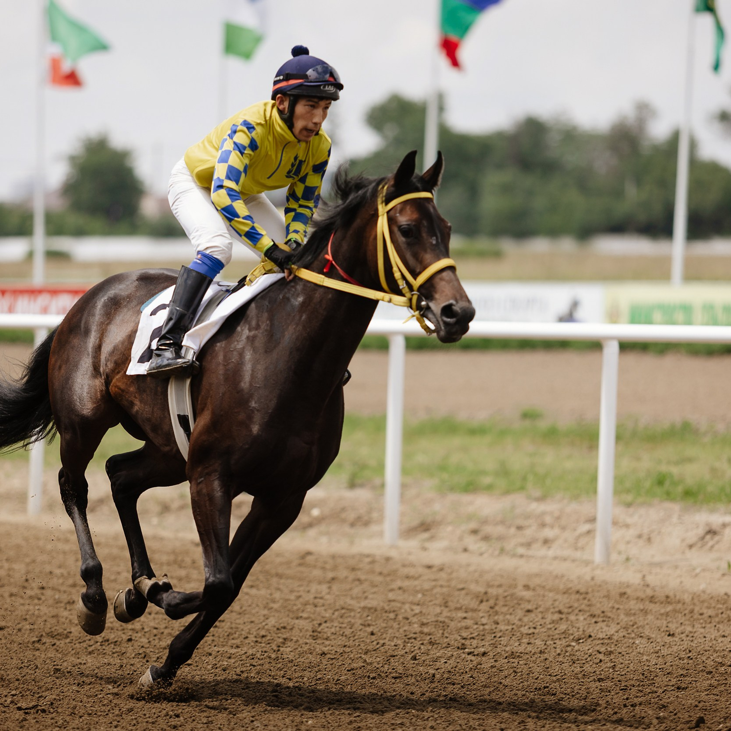 Скачки 17.06.23. Photographer | Anna Christia