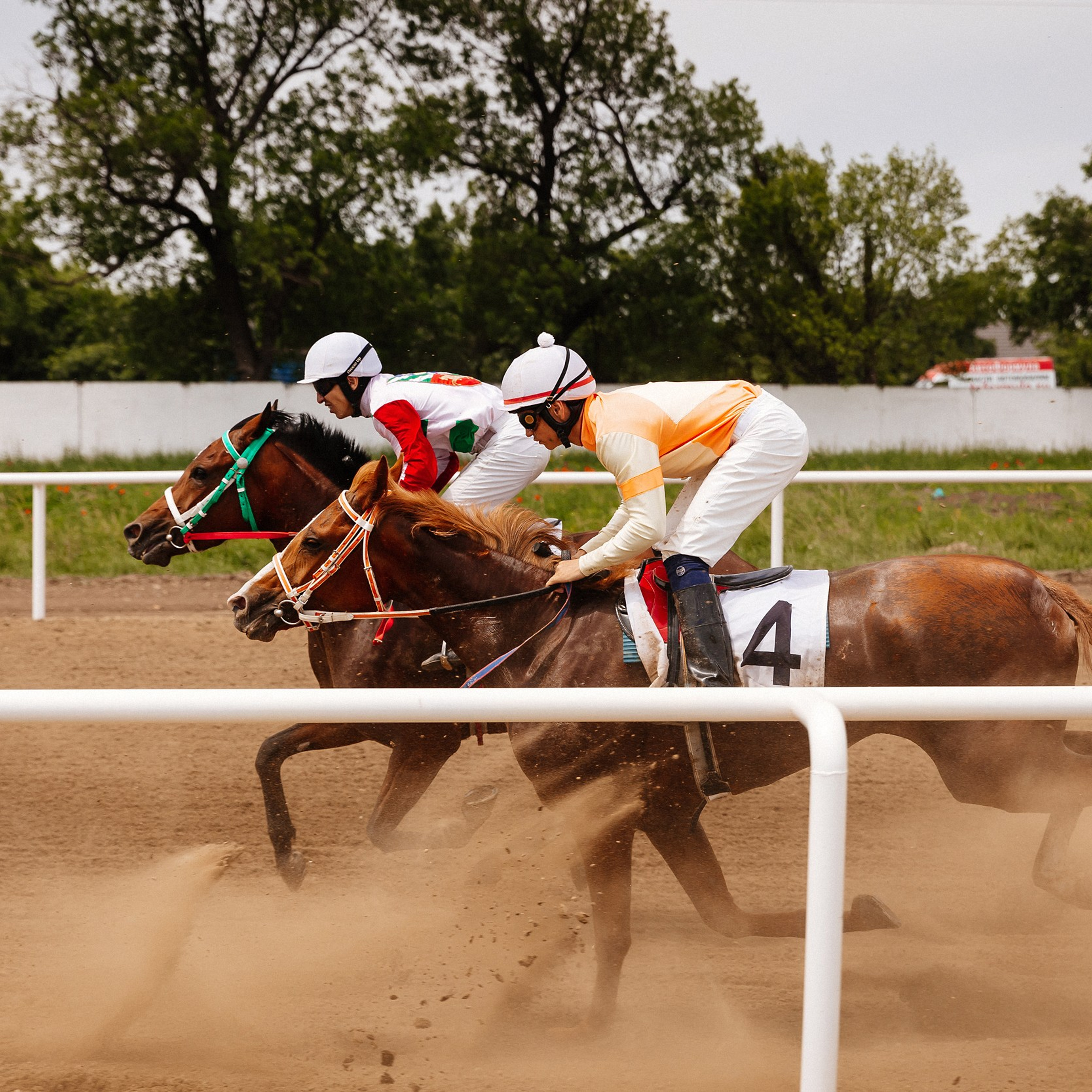 Скачки 10.06.23. Photographer | Anna Christia