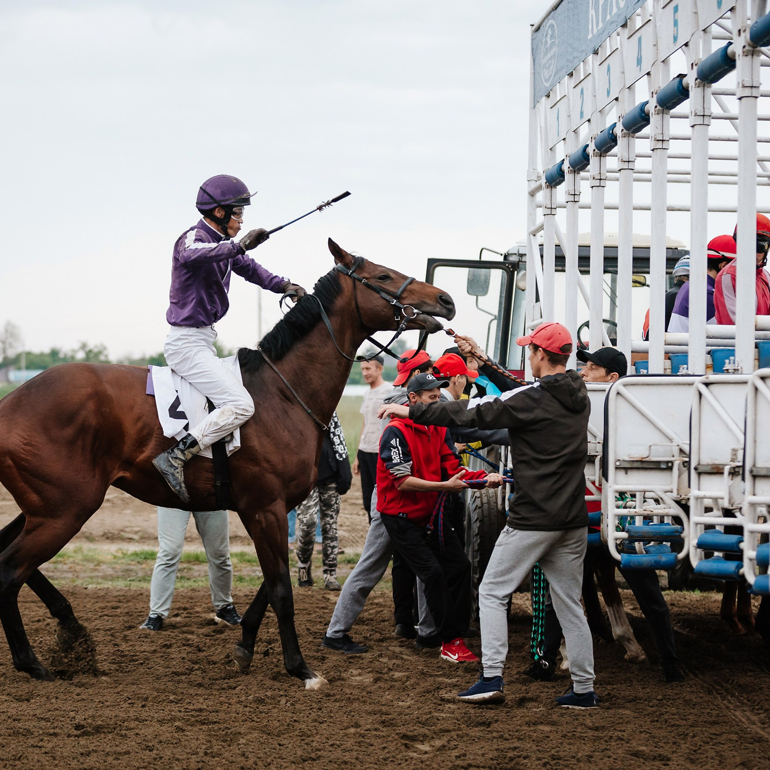 Скачки 11.05.24. Photographer | Anna Christia