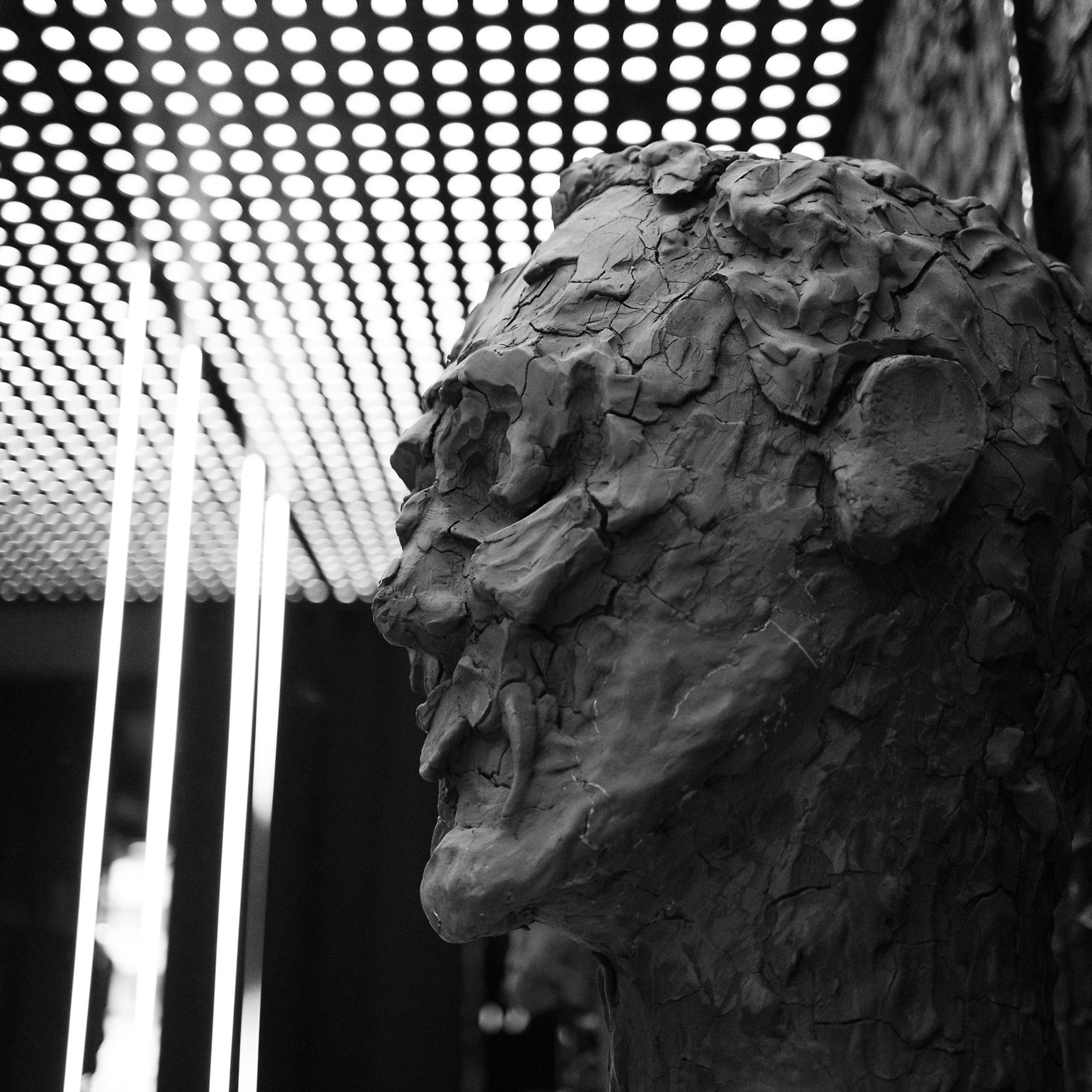 Not obligated 22.12.23. Photographer | Anna Christia