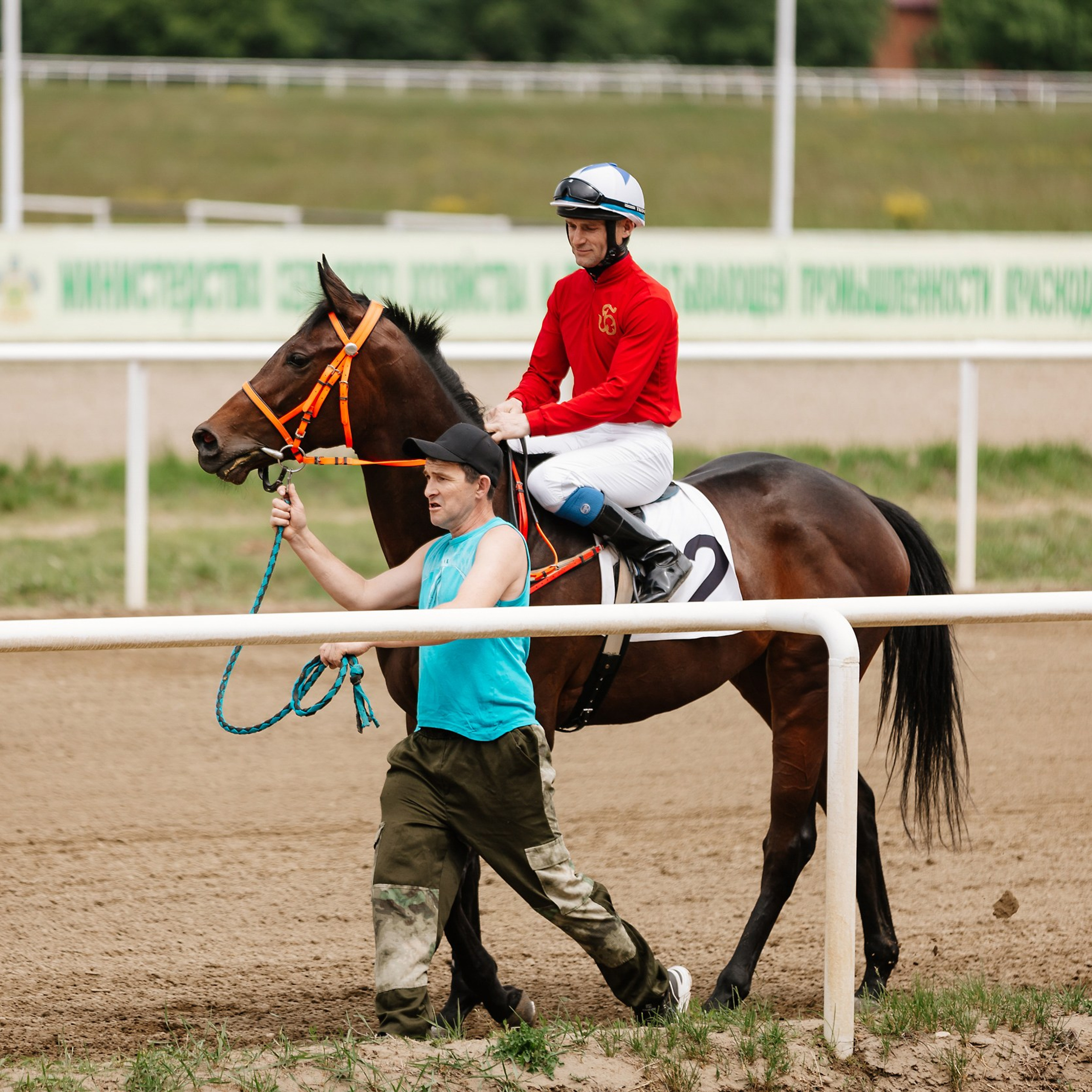 Скачки 11.05.24. Photographer | Anna Christia