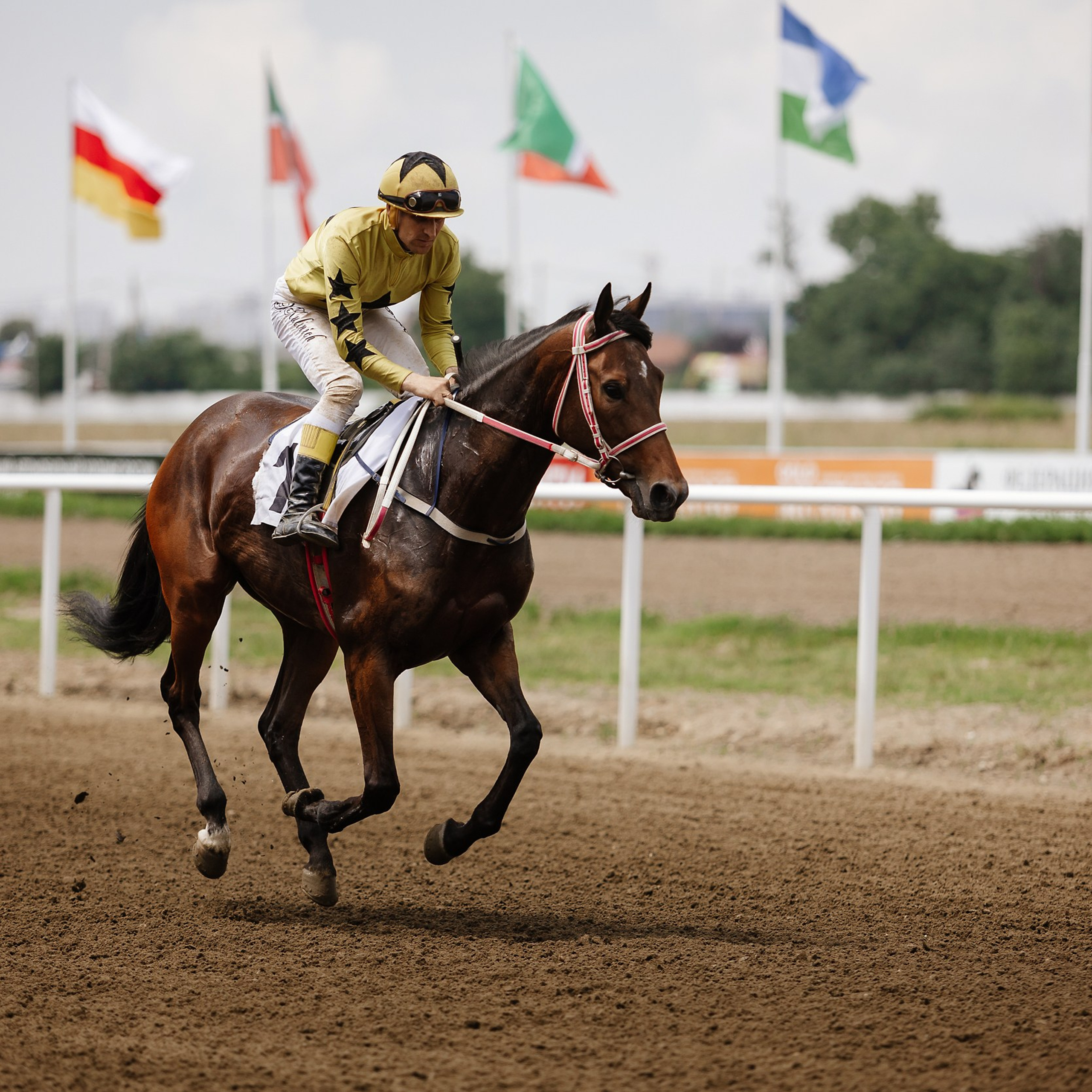 Скачки 17.06.23. Photographer | Anna Christia