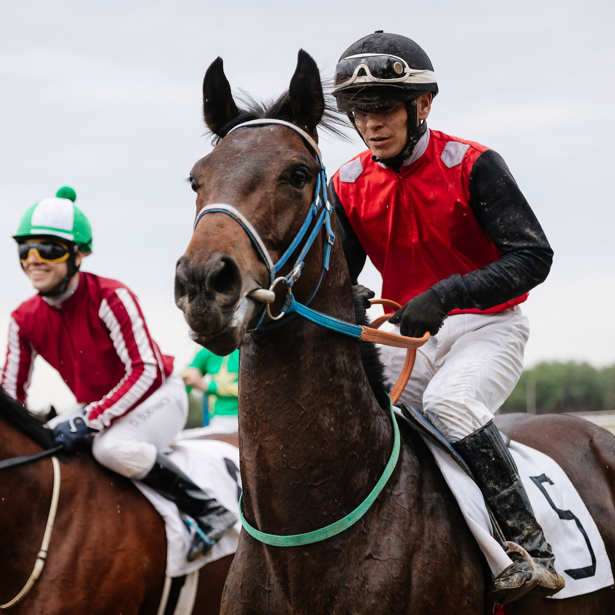 Скачки 11.05.24. Photographer | Anna Christia