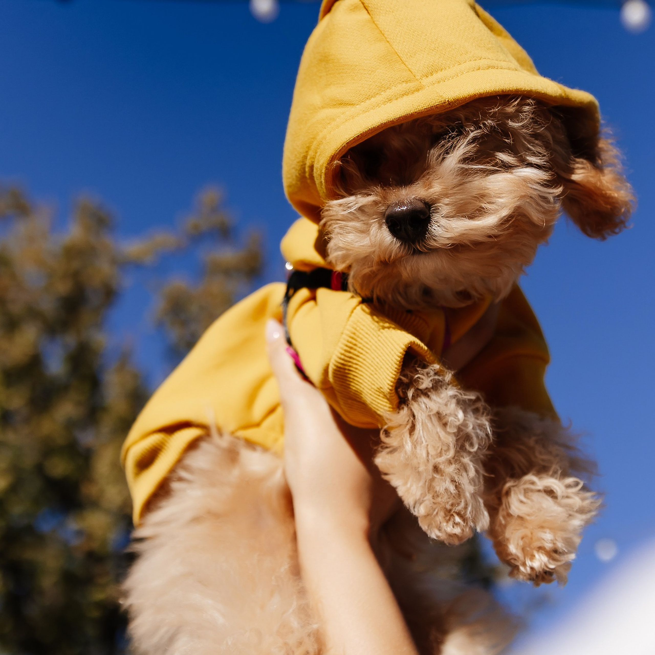 Boxpark 4.11.23. Photographer | Anna Christia