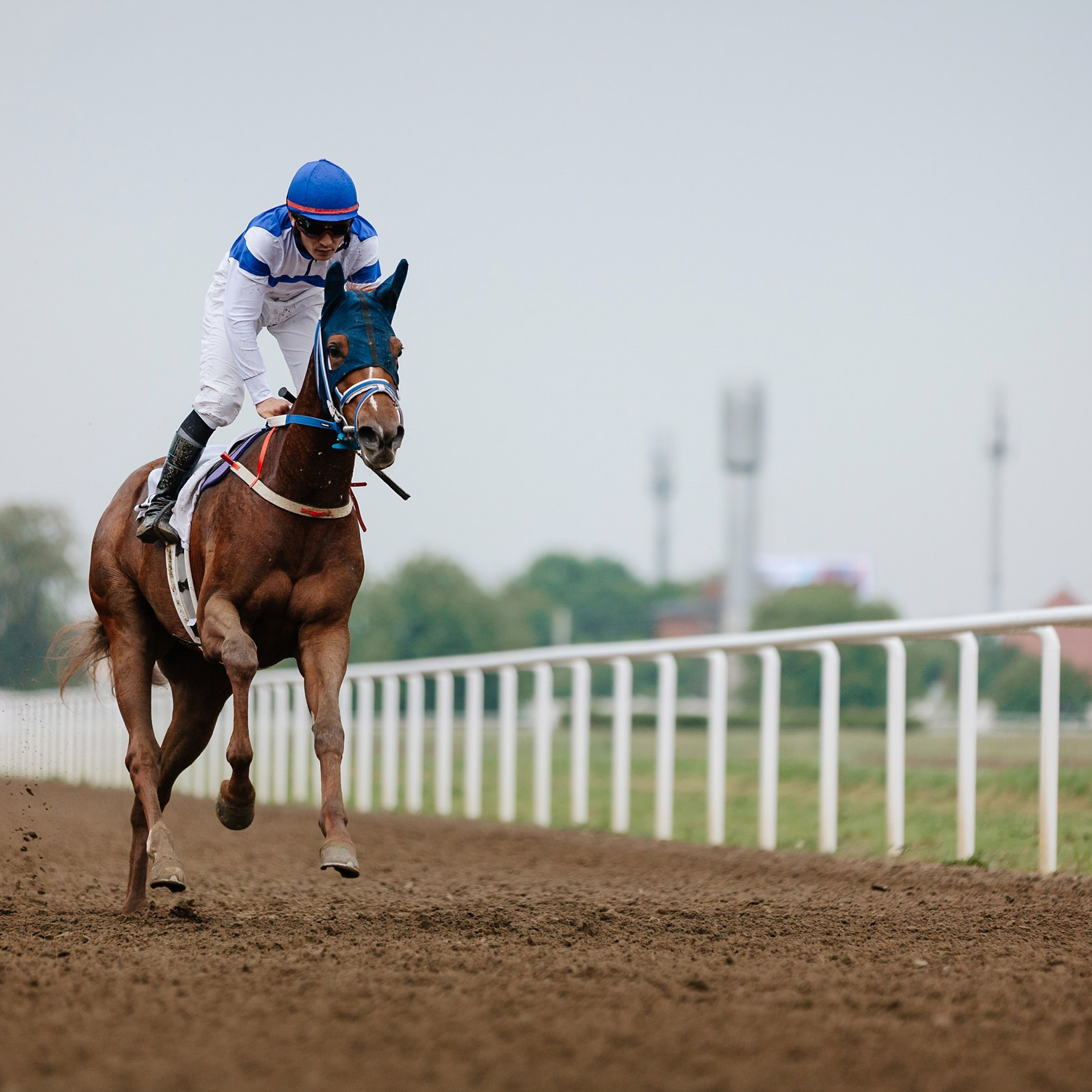 Скачки 11.05.24. Photographer | Anna Christia