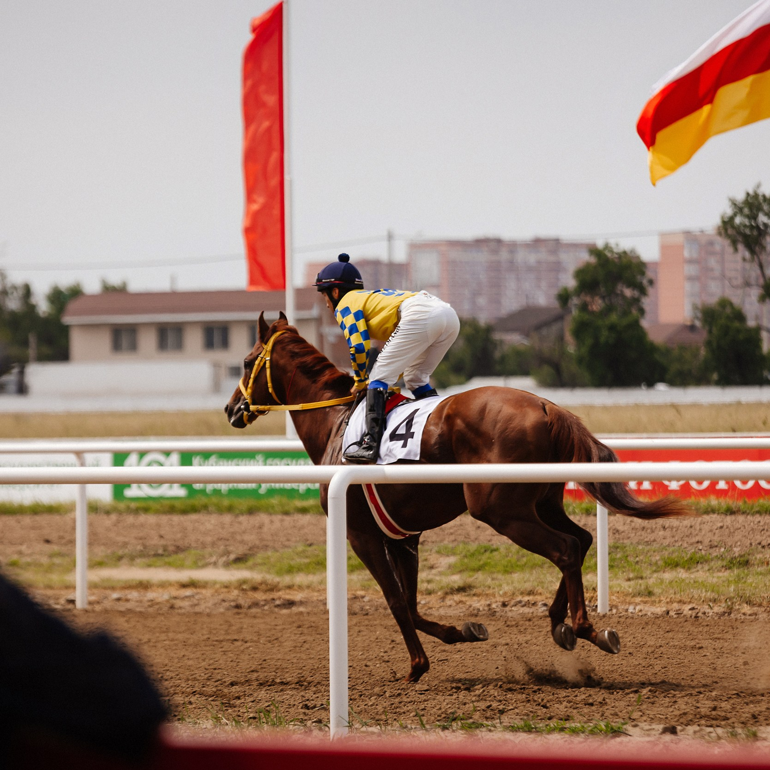 Скачки 10.06.23. Photographer | Anna Christia