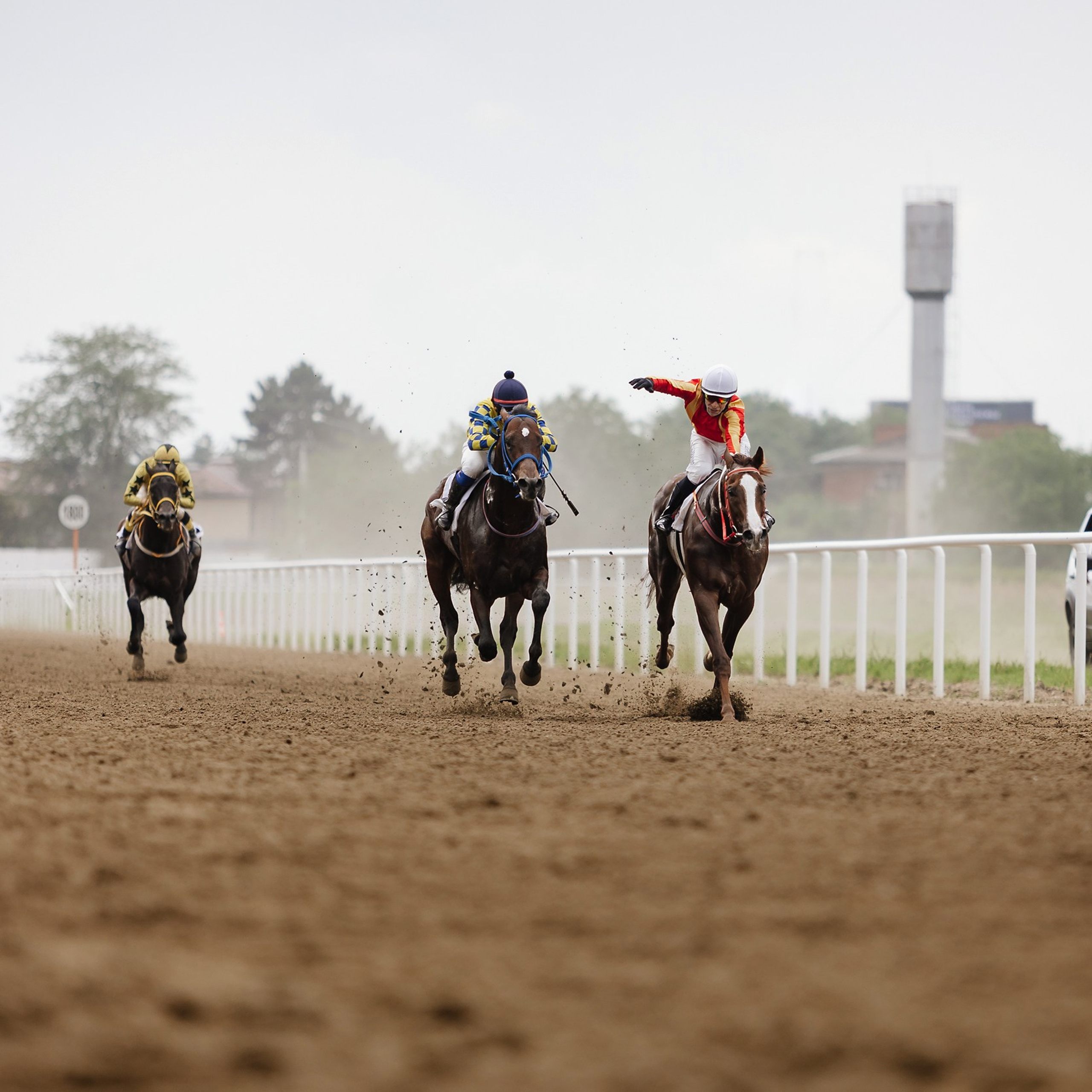 Скачки 17.06.23. Photographer | Anna Christia