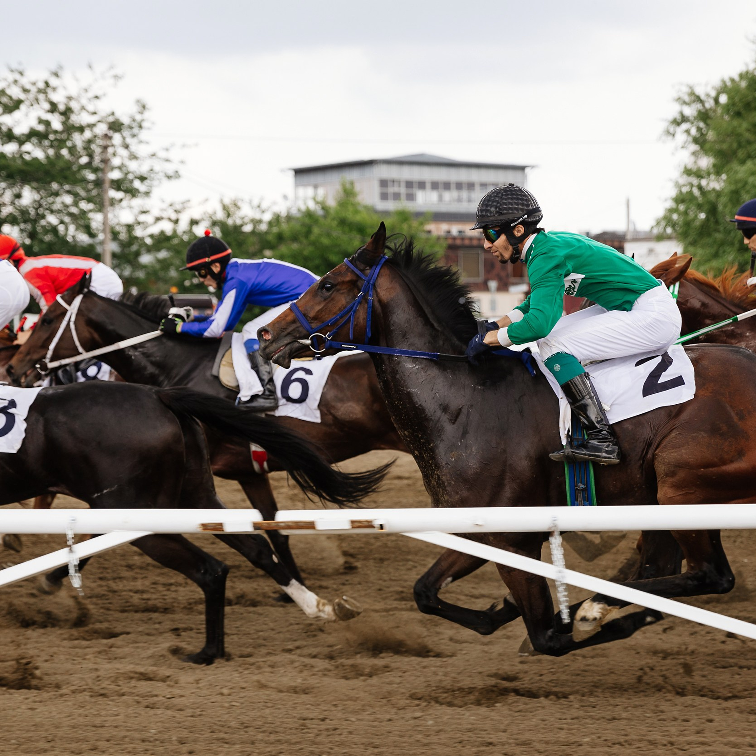 Скачки 17.06.23. Photographer | Anna Christia