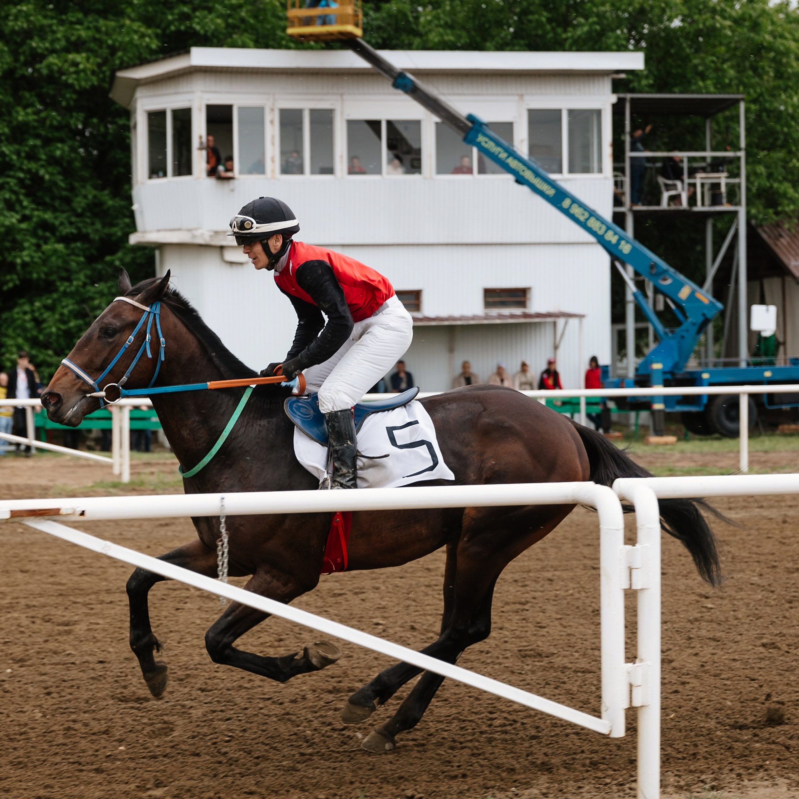 Скачки 11.05.24. Photographer | Anna Christia