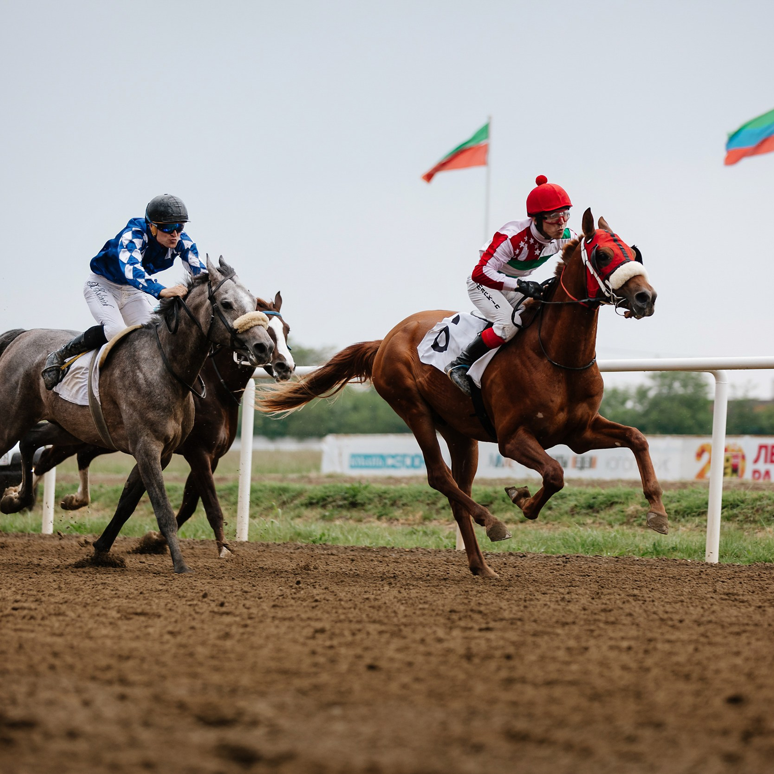 Скачки 11.05.24. Photographer | Anna Christia