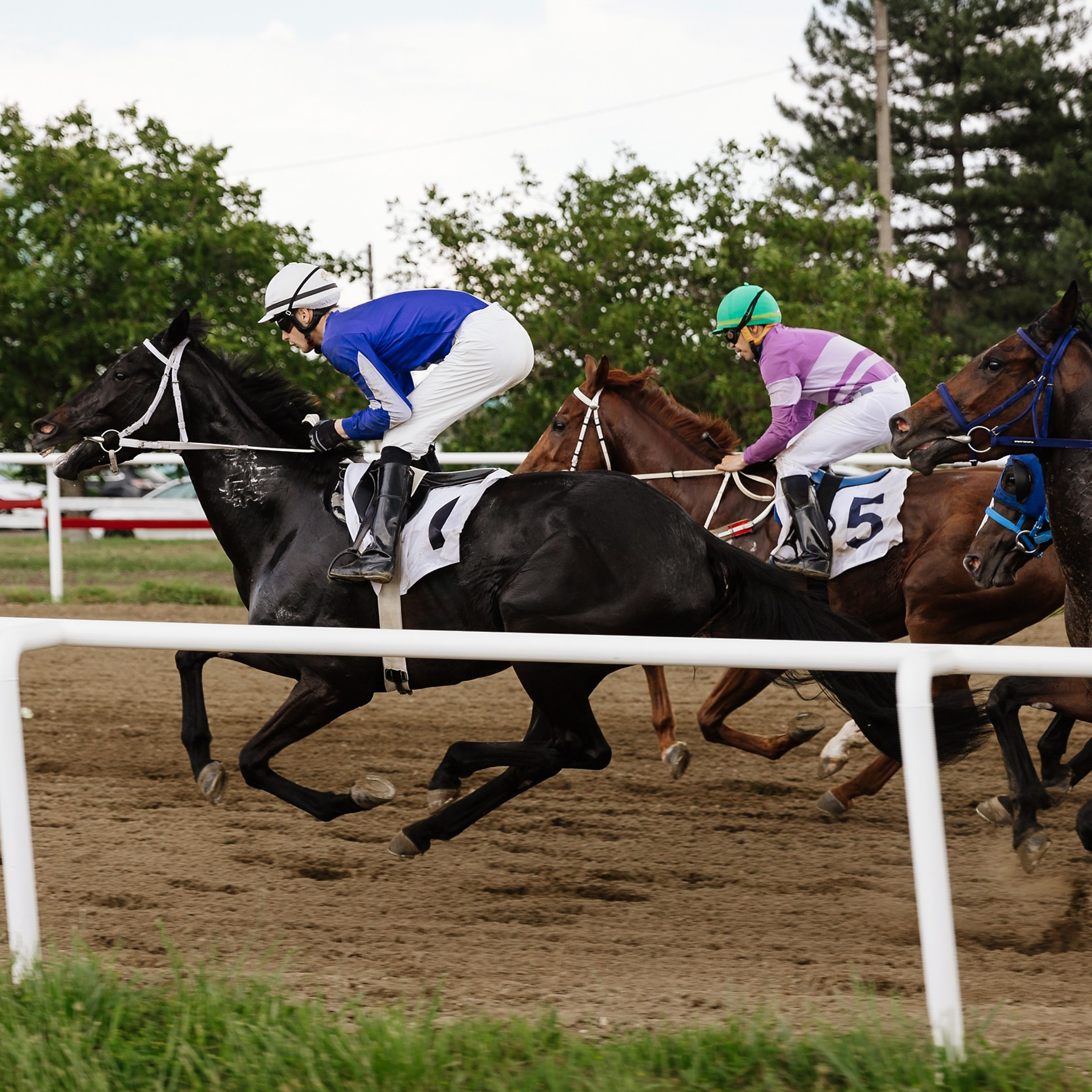 Скачки 17.06.23. Photographer | Anna Christia