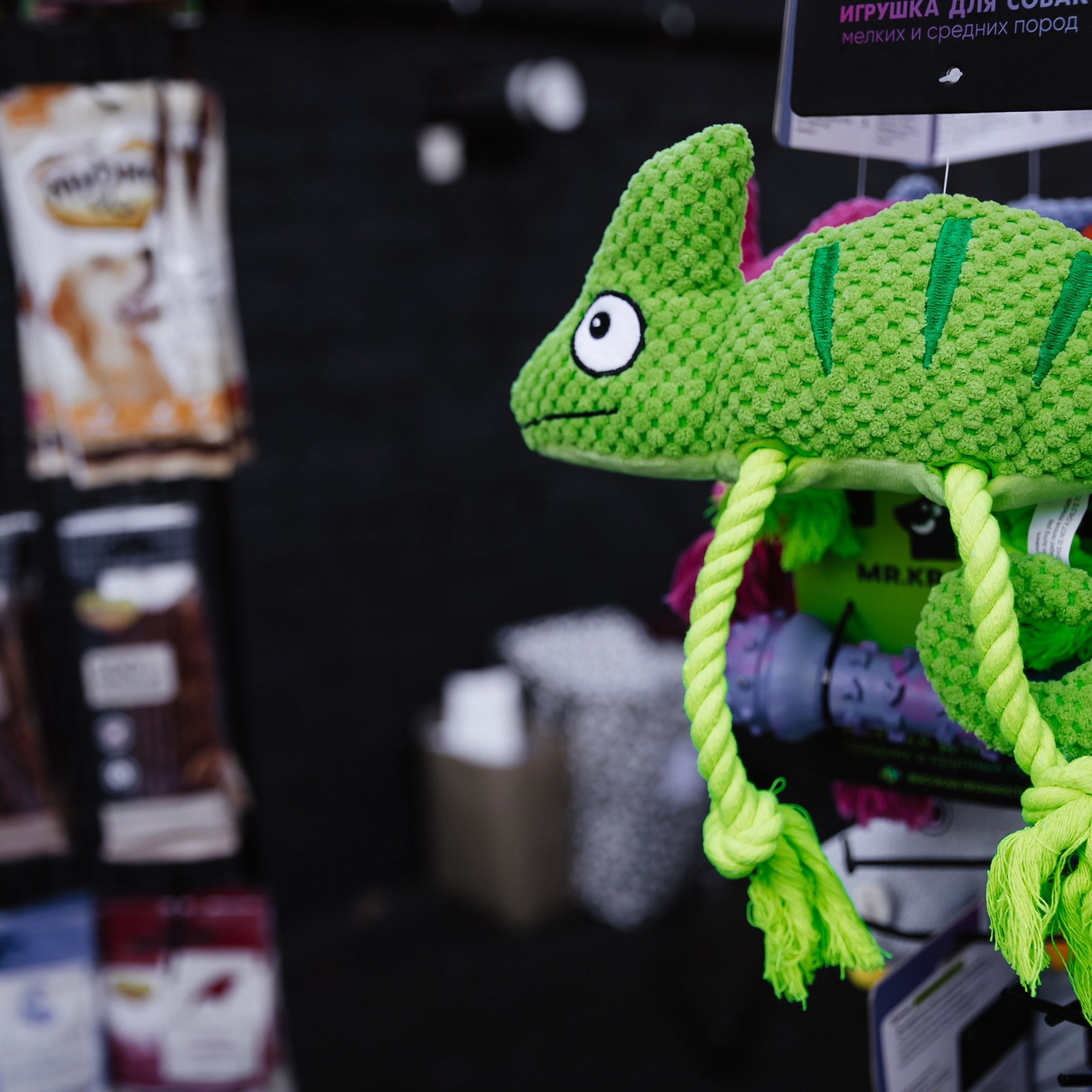 Boxpark 4.11.23. Photographer | Anna Christia