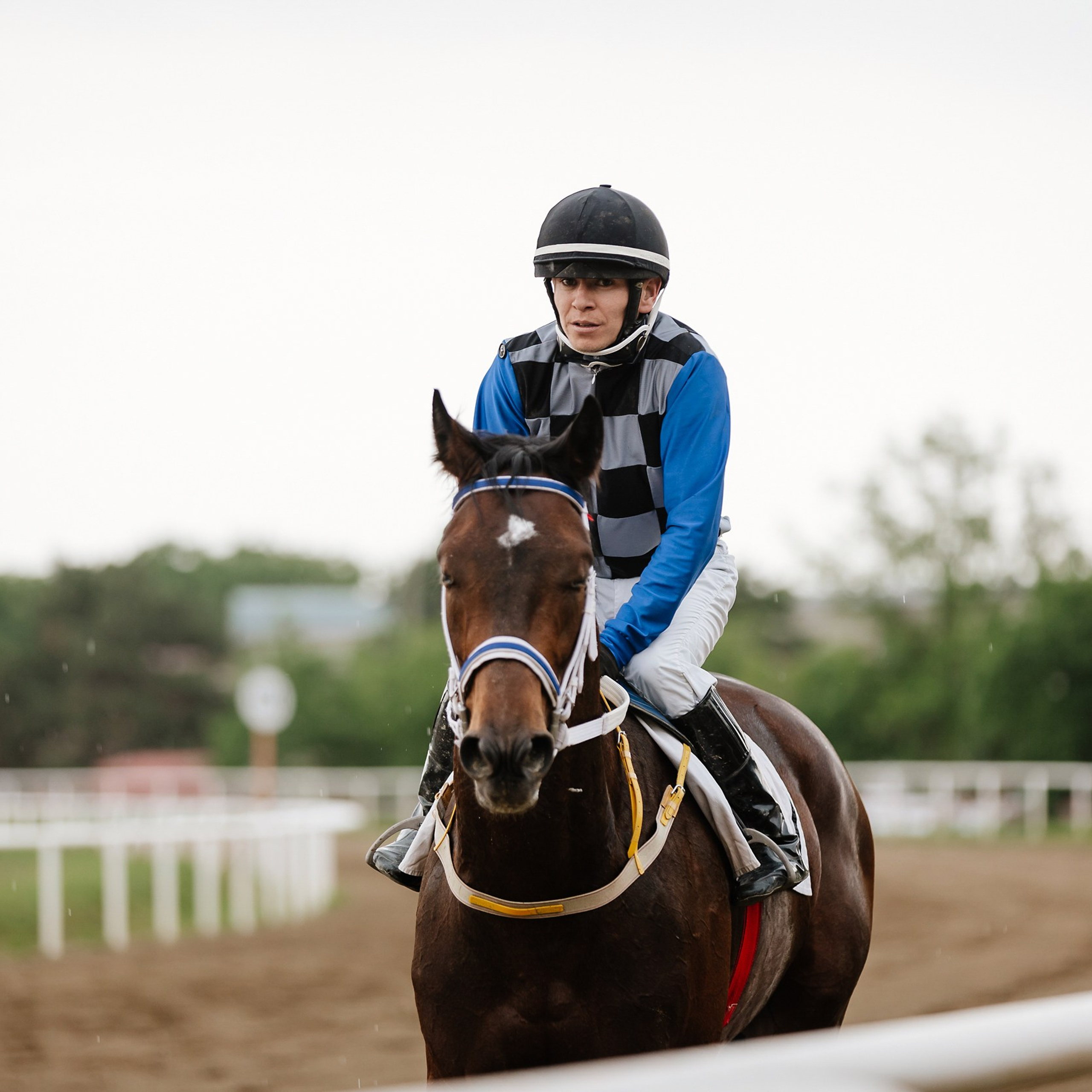 Скачки 11.05.24. Photographer | Anna Christia