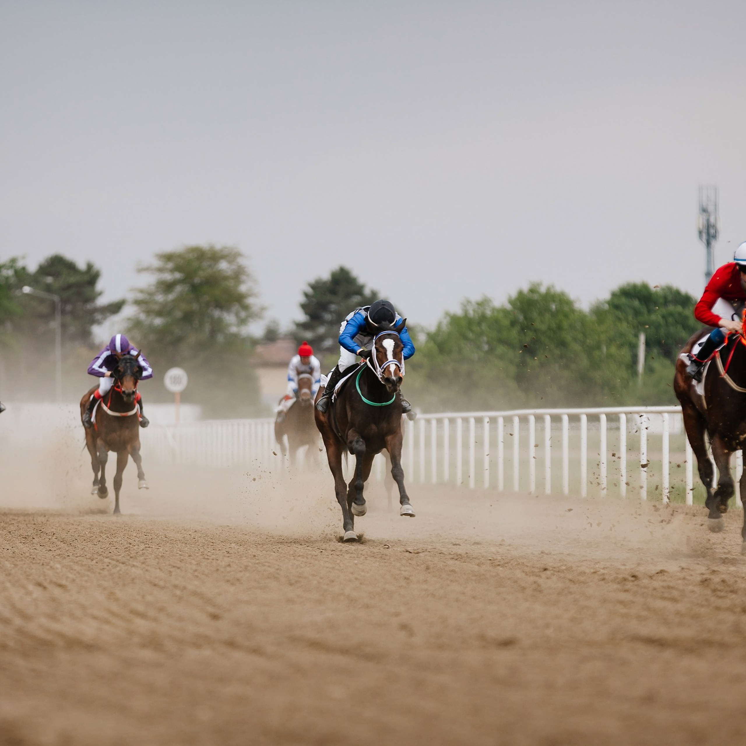Скачки 11.05.24. Photographer | Anna Christia