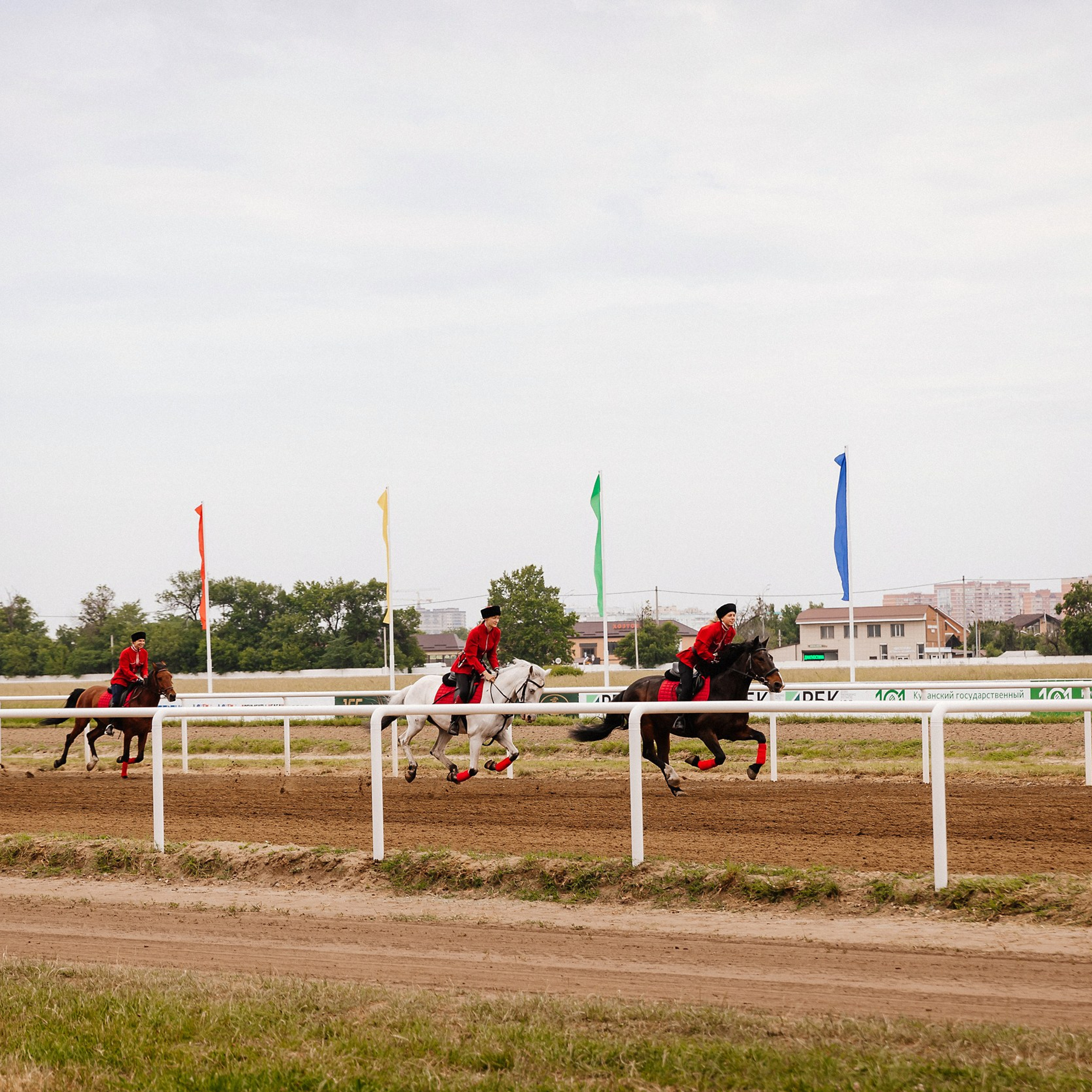 Скачки 10.06.23. Photographer | Anna Christia