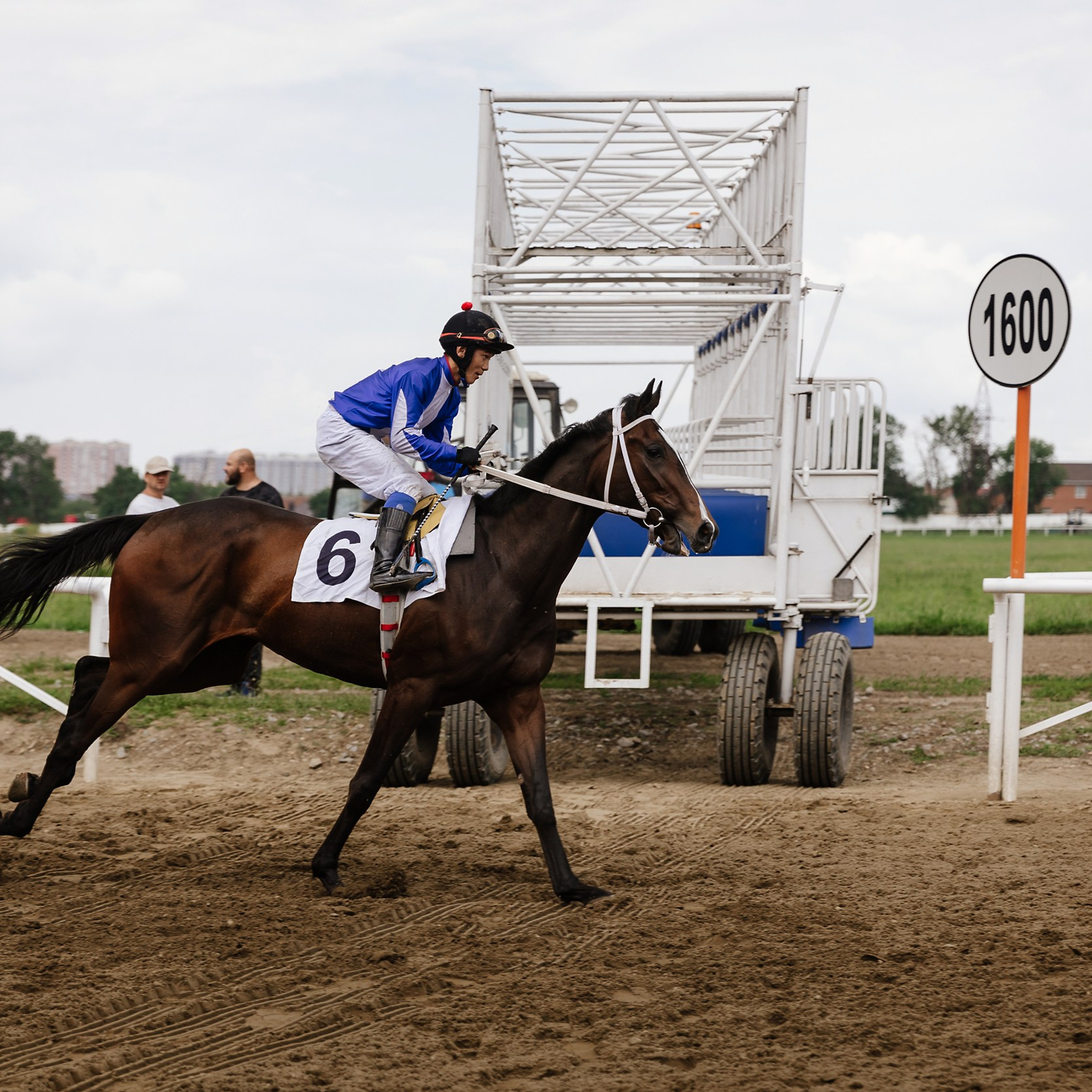 Скачки 17.06.23. Photographer | Anna Christia