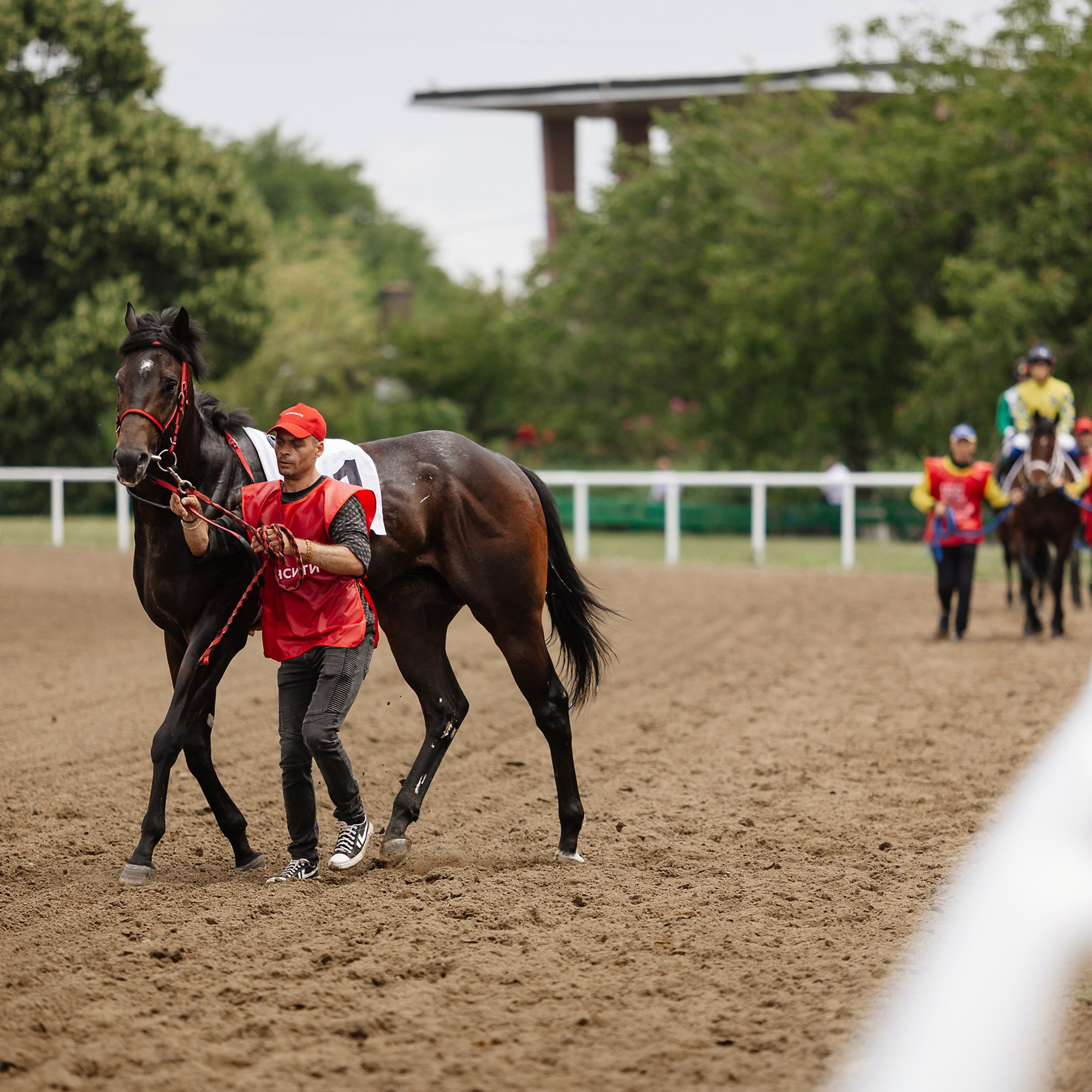 Скачки 17.06.23. Photographer | Anna Christia