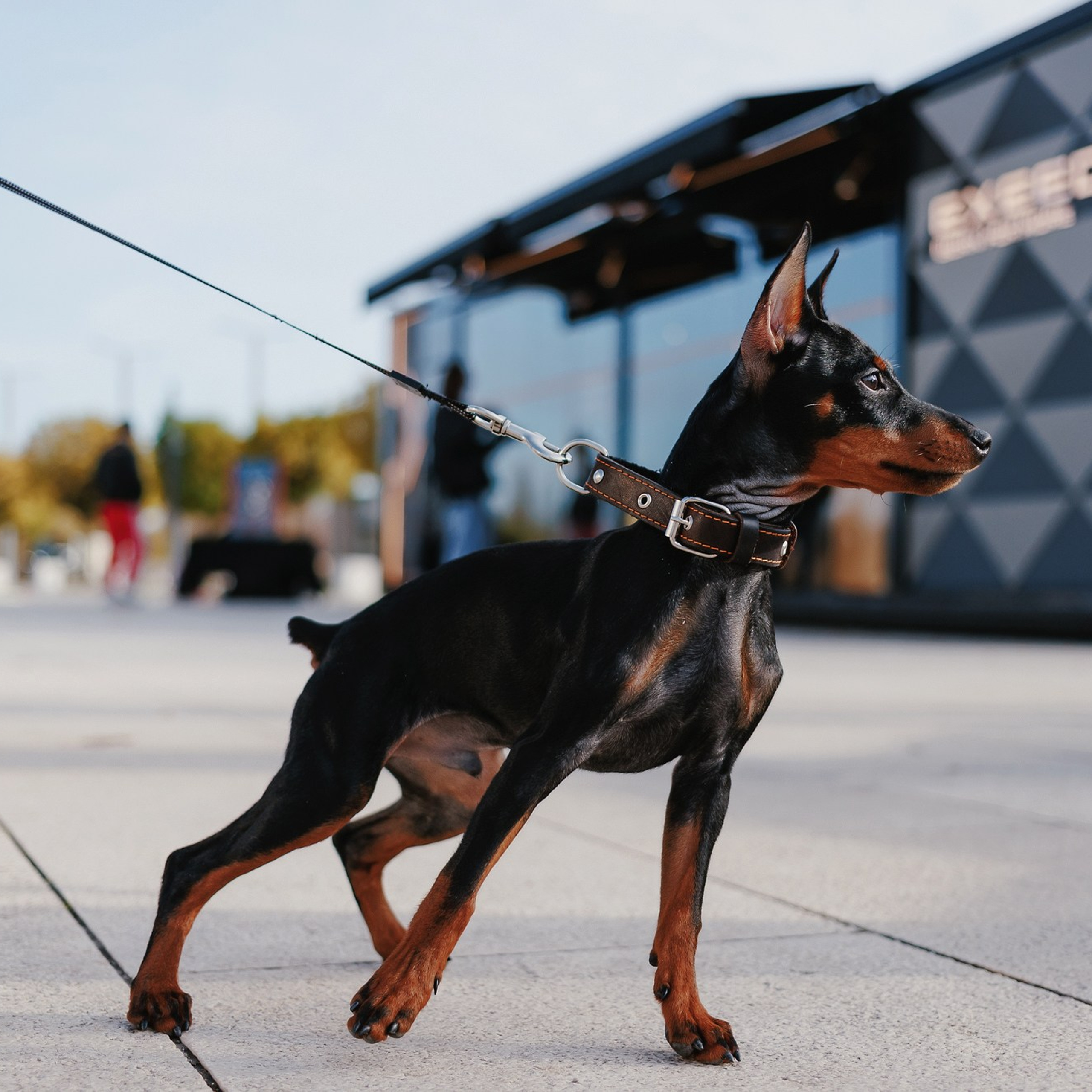 Exeed 23.11.22. Photographer | Anna Christia