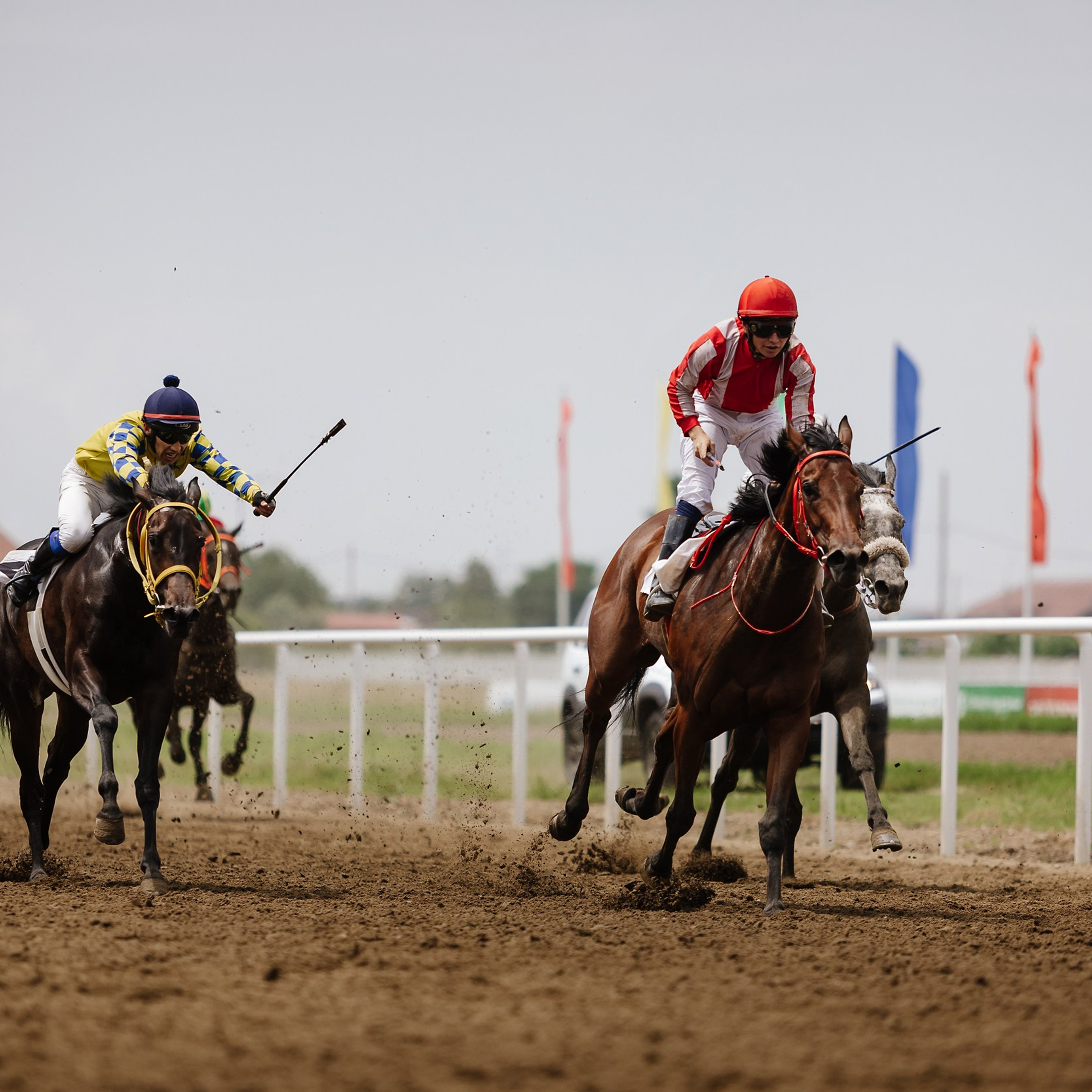 Скачки 17.06.23. Photographer | Anna Christia