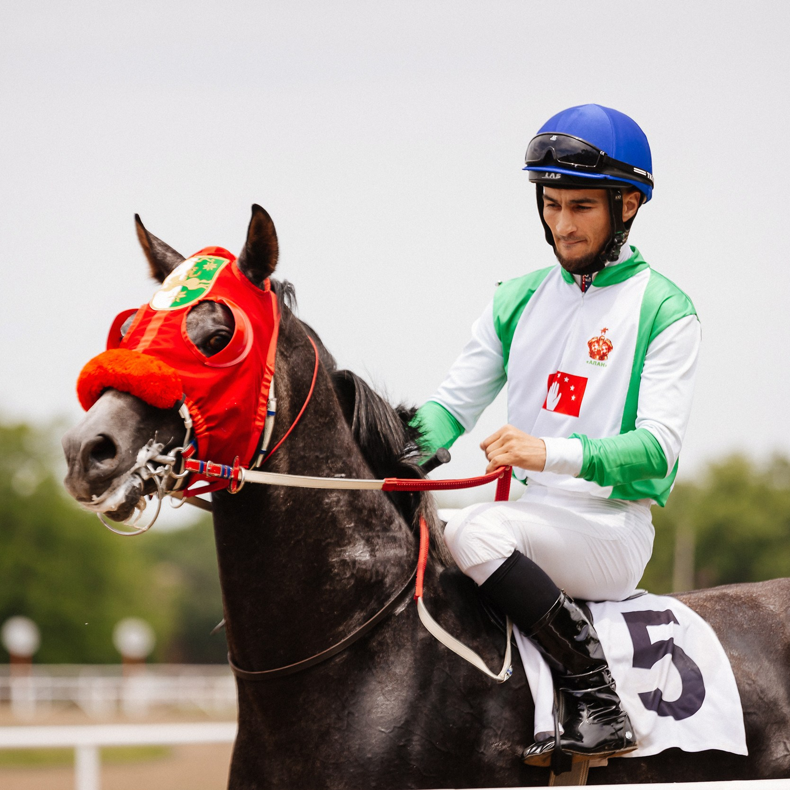 Скачки 10.06.23. Photographer | Anna Christia