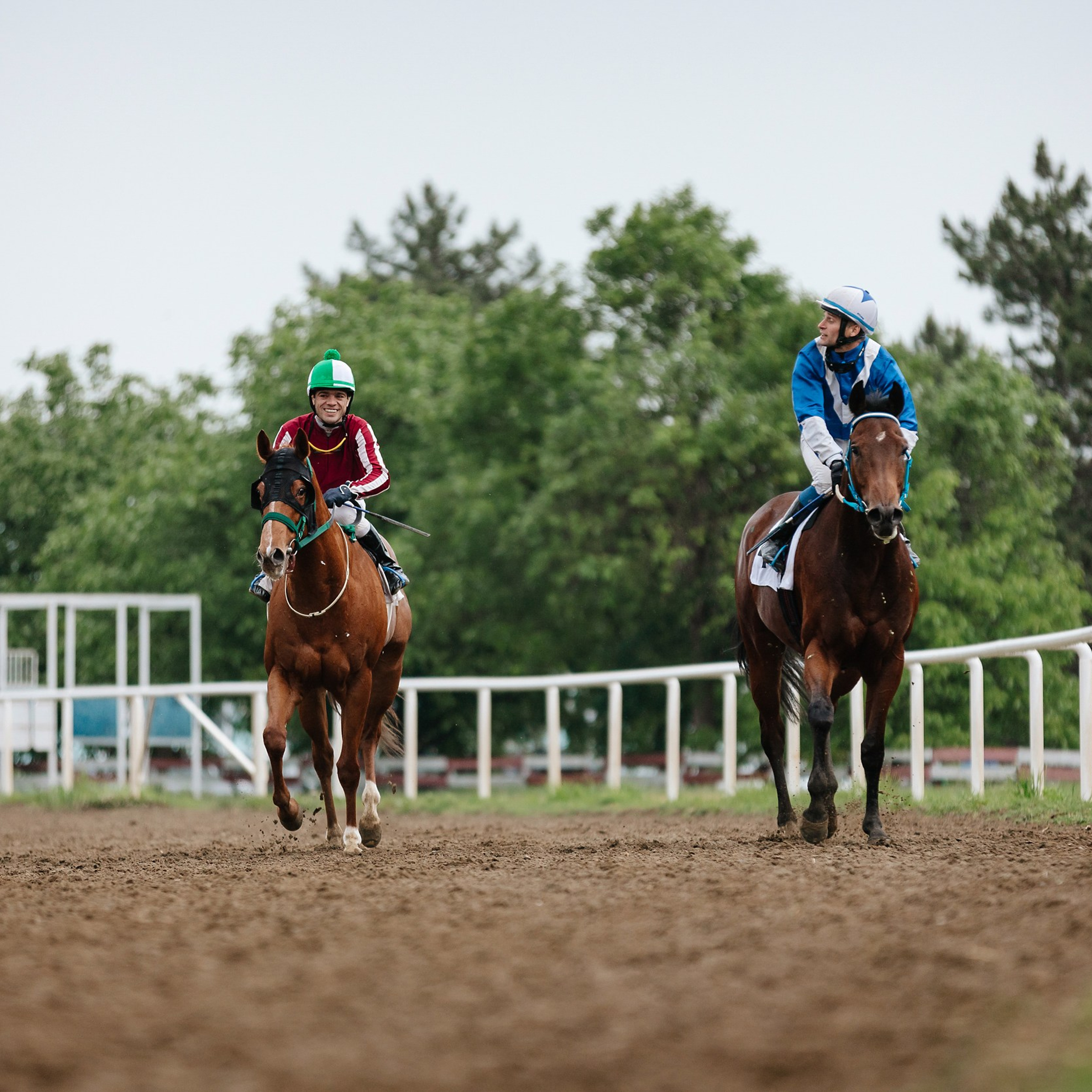 Скачки 11.05.24. Photographer | Anna Christia
