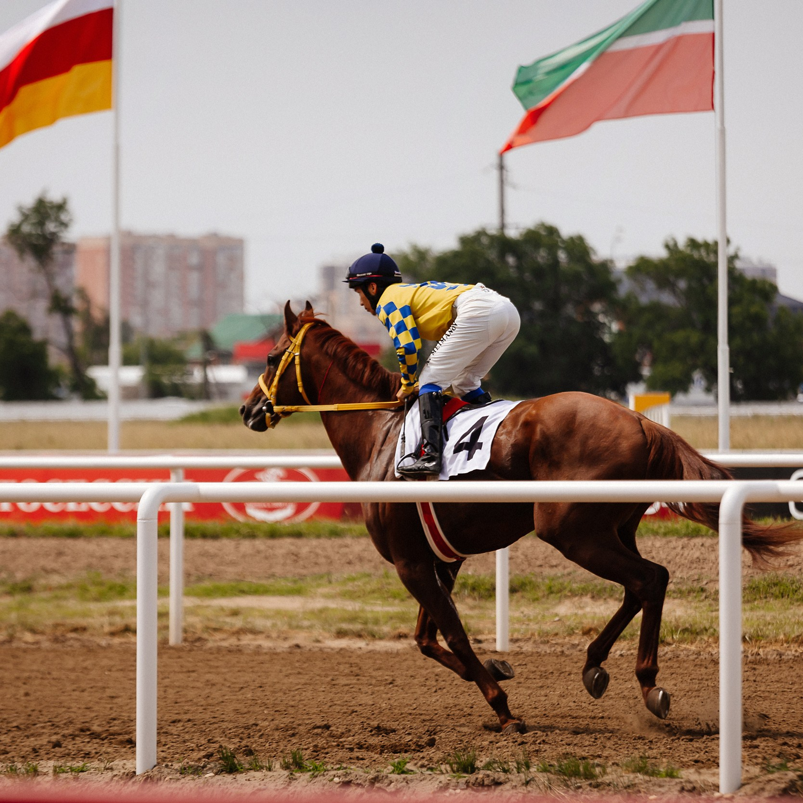 Скачки 10.06.23. Photographer | Anna Christia